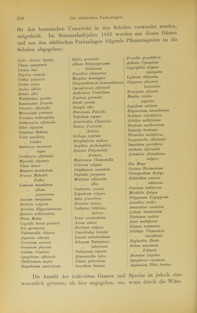 für den botanischen Unterricht in den Schulen verwendet werden, mitgetheilt. Im Sommerhalbjahre 1885 wurden au» diesen Garten und aus clen städtischen Parkanlagen folgende Pflanzenspecies an < le Schulen abgegeben: Salix, diverse Specics Ulmus campestris Gornus mas Populus iremula Caltlm palustris Draba verna Ardbis albida Betula alba Waldsteinia geoides Banunculus Ficaria Petasites officinalis Mercurialis perennis Veronica hederaefolia Pulmonaria officinalis Ribes alpinum Garpinus Betülus Viola cucullata „ tricolor Sambucas racemosa „ nigra Cochlearia officinalis Myosotis alpestris Vinca minor Muscari moschatum Prunus Mahaleb „ Padus Lamium maculatum ,, album „ purpureum Asarum europaeum Berberis vulgaris Aesculus Hippocastav um Quercus pedunculata Pirus Malus Gapselia bursa pastoris Iris germanica Valerianella olitoria Asperula odorata Ccrastium arvense Geranium phaewm Galium Cruciata Sympldtum officinalc Ghelidonium majus Sisynibrium austriacum Salvia pratensis AUium Schoenoprasum „ fistulosum Dianthus plumarius Mespilus monogyna Chrysanthemum Leucujithemum j Cynoglossum .officinalc Antliriscus Cerefolium Lupinus perennis Secale ceredle Sinapis alba Hieracium Pilosella Trifolium repens Aristolochin Glematitis Rumex Fatientia „ Acetosa Githago segetum Scrophularia nodosa Angelica Archangelica Spiraea Filipendula „ Aruncus Matricaria Chamomilla Triticum vulgare Delphinium consolida j Digitalis purpurca j Melilotus officinalis „ alba Gentaurea cyanus I Ligustrum vulgare Ruta graveolens Brassica annua Lathyrus latifolius „ saiivus Lotus corniculatus Avena sativa Hordeum vulgare Convolmdus tricolor Linum usitatissimum Solanum Dulcamara „ tuberosum Verbascum nigrum Hemerocallis fulva IÄlium pubcrulum Oenothera biennis Prunella grandifiora Aethusa Cynapium Gypsophila elegans ,, fastigiata Lythrum Salicaria Dipsacus silvestris „ laciniatus Eryngium planum Mentha viridis „ piperita Lepidium sativum Eupatorium cannabmum Scabiosa columbaria Achillea millefolium Sorghum saccharatum Satureja hortensis Phaseolus multiflorus Sanguisorba officinalis Impatiens parviflora Anchusa officinalis Artemisia Absinthium ,, vulgare Zca Mays Datura Stranwnium Chenopodium Botrys Helianthus annuus „ Uiberosus Panicum müiaceum Mirdbilis Jalapa Polygonum Fagopyrum Acanthus mollis Amarantus candalus I Lolium temulentum Nicotiana rustica Aster multiflorus Ricinus communis Solidago Virgaaurea „ canadensis Eupliorbia Esula Sedum maximum „ Fabaria Humulus Lupulus Sympliorca racemosa Asplenium Filix femina. Die Anzahl der kultivirten Genera und wesentlich grössere, als hier angegeben, um, Species ist jedoch eine wenn durch die W itte-