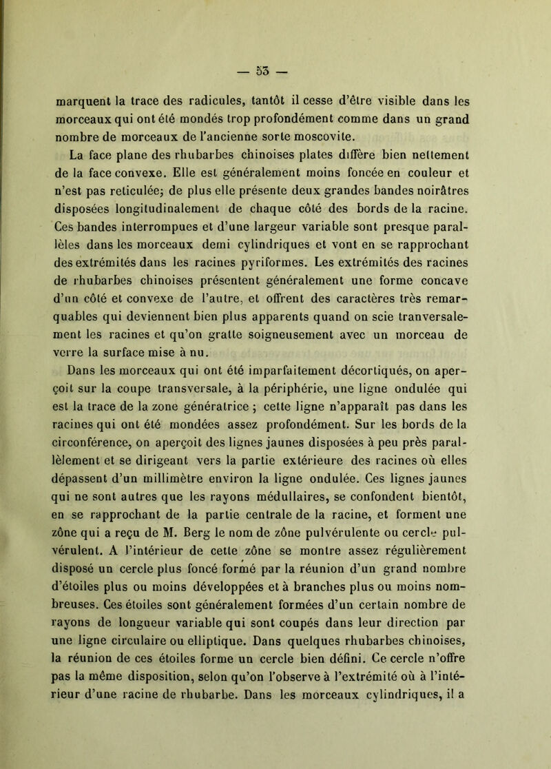 marquent la trace des radicules, tantôt il cesse d’être visible dans les morceaux qui ont été mondés trop profondément comme dans un grand nombre de morceaux de l'ancienne sorte moscovite. La face plane des rhubarbes chinoises plates diffère bien nettement de la face convexe. Elle est généralement moins foncée en couleur et n’est pas reticuléej de plus elle présente deux grandes bandes noirâtres disposées longitudinalement de chaque côté des bords de la racine. Ces bandes interrompues et d’une largeur variable sont presque paral- lèles dans les morceaux demi cylindriques et vont en se rapprochant des extrémités dans les racines pyriformes. Les extrémités des racines de rhubarbes chinoises présentent généralement une forme concave d’un côté et convexe de l’autre, et offrent des caractères très remar- quables qui deviennent bien plus apparents quand on scie tranversale- ment les racines et qu’on gratte soigneusement avec un morceau de verre la surface mise à nu. Dans les morceaux qui ont été imparfaitement décortiqués, on aper- çoit sur la coupe transversale, à la périphérie, une ligne ondulée qui est la trace de la zone génératrice ; cette ligne n’apparaît pas dans les racines qui ont été mondées assez profondément. Sur les bords de la circonférence, on aperçoit des lignes jaunes disposées à peu près paral- lèlement et se dirigeant vers la partie extérieure des racines où elles dépassent d’un millimètre environ la ligne ondulée. Ces lignes jaunes qui ne sont autres que les rayons médullaires, se confondent bientôt, en se rapprochant de la partie centrale de la racine, et forment une zône qui a reçu de M. Berg le nom de zône pulvérulente ou cercle pul- vérulent. A l’intérieur de cette zône se montre assez régulièrement disposé un cercle plus foncé formé par la réunion d’un grand nombre d’étoiles plus ou moins développées et à branches plus ou moins nom- breuses. Ces étoiles sont généralement formées d’un certain nombre de rayons de longueur variable qui sont coupés dans leur direction par une ligne circulaire ou elliptique. Dans quelques rhubarbes chinoises, la réunion de ces étoiles forme un cercle bien défini. Ce cercle n’offre pas la même disposition, selon qu’on l’observe à l’extrémité où à l’inté- rieur d’une racine de rhubarbe. Dans les morceaux cylindriques, i! a