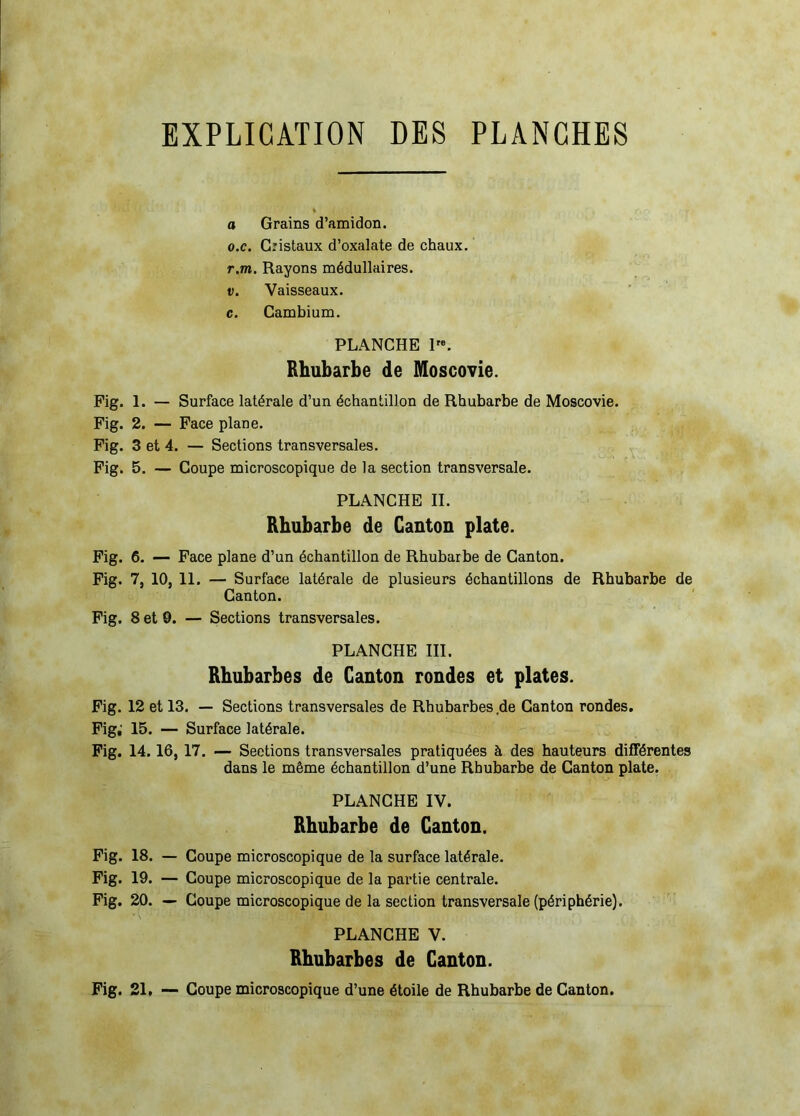 EXPLICATION DES PLANCHES a Grains d’amidon. o.c. Gîistaux d’oxalate de chaux. r.m. Rayons médullaires. V. Vaisseaux, c. Cambium. PLANCHE 1. Rhubarbe de Moscovie. Fig. 1. — Surface latérale d’un échantillon de Rhubarbe de Moscovie. Fig. 2. — Face plane. Fig. 3 et 4. — Sections transversales. Fig. 5. — Coupe microscopique de la section transversale. PLANCHE II. Rhubarbe de Canton plate. Fig. 6. — Face plane d’un échantillon de Rhubarbe de Canton. Fig. 7, 10, 11. — Surface latérale de plusieurs échantillons de Rhubarbe de Canton. Fig. 8 et 0. — Sections transversales. PLANCHE III. Rhubarbes de Canton rondes et plates. Fig. 12 et 13. — Sections transversales de Rhubarbes.de Canton rondes. Fig,' 15. — Surface latérale. Fig. 14.16,17. — Sections transversales pratiquées à des hauteurs différentes dans le même échantillon d’une Rhubarbe de Canton plate. PLANCHE IV. Rhubarbe de Canton. Fig. 18. — Coupe microscopique de la surface latérale. Fig. 19. — Coupe microscopique de la pai’tie centrale. Fig. 20. — Coupe microscopique de la section transversale (périphérie). PLANCHE V. Rhubarbes de Canton. Fig. 21. — Coupe microscopique d’une étoile de Rhubarbe de Canton.