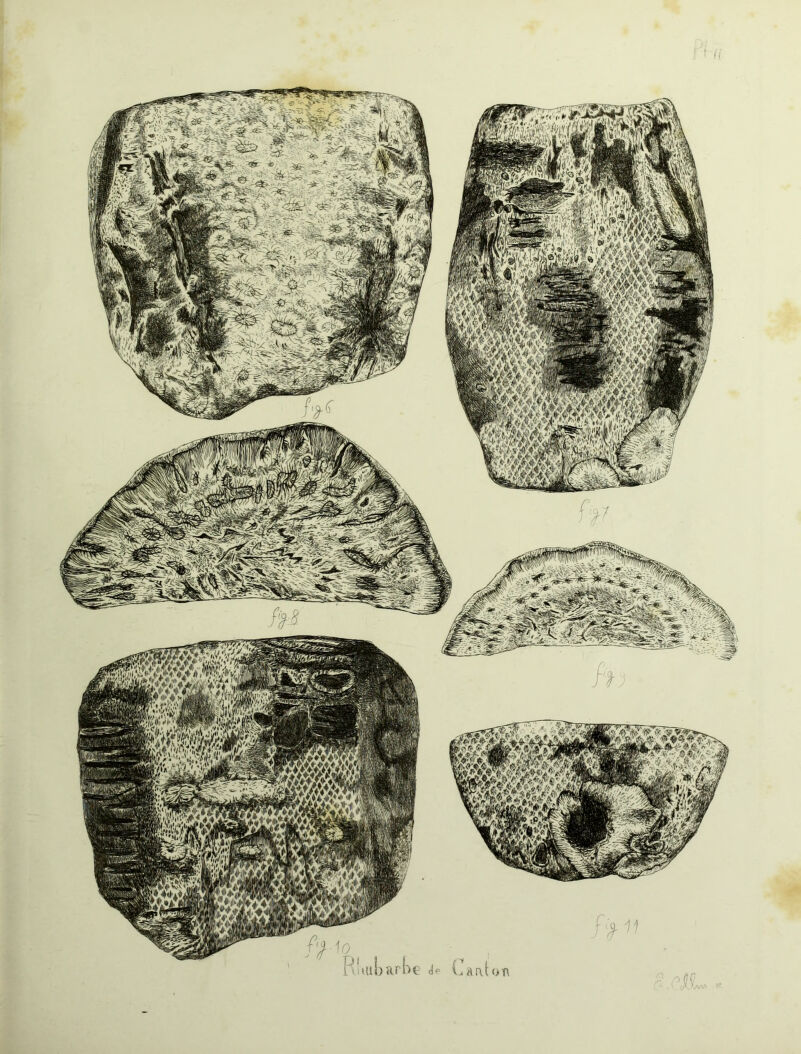 WmWi WÉm mMmK iî» ^^ÉËt^gîmir, mM^m 0T\