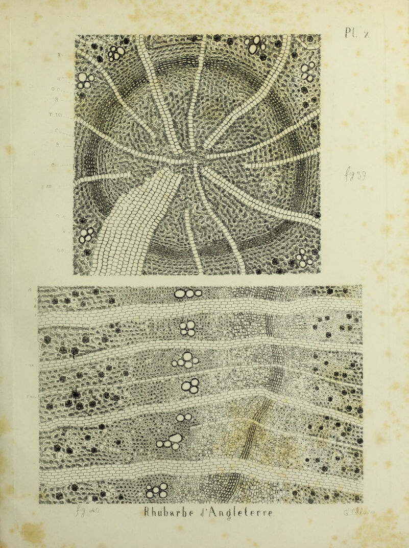 imm * 7 ,v;j^*»'S, erre