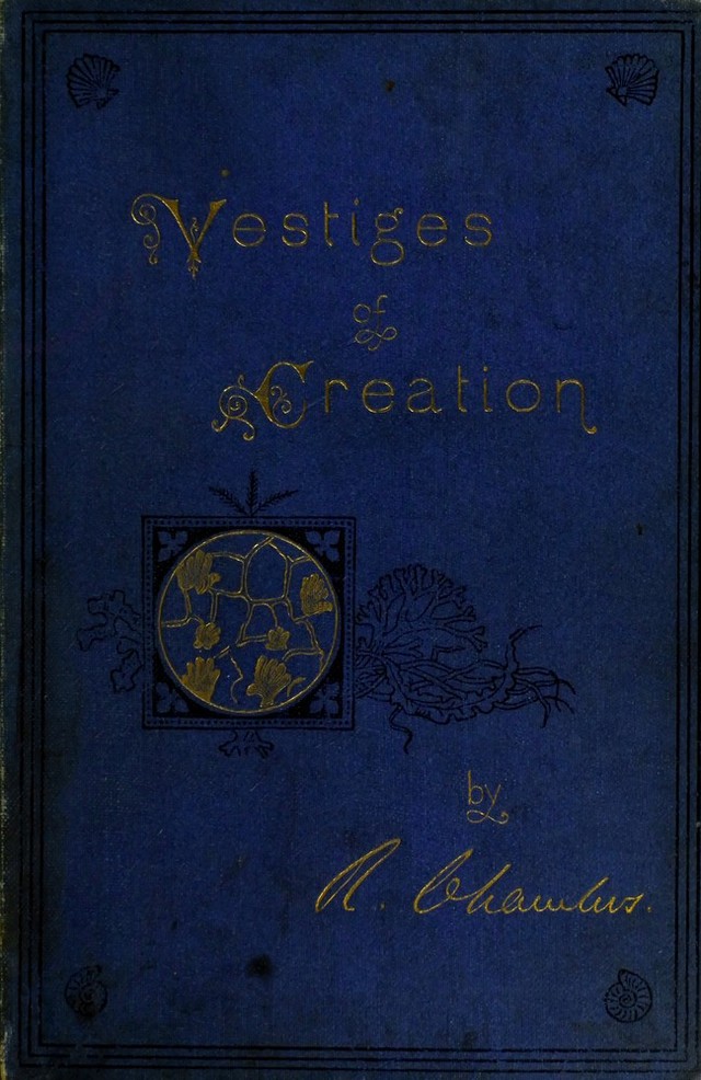 digitised image 1
