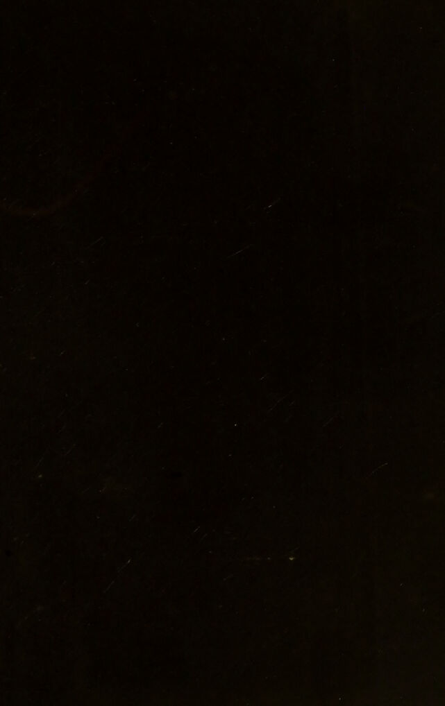digitised image 3