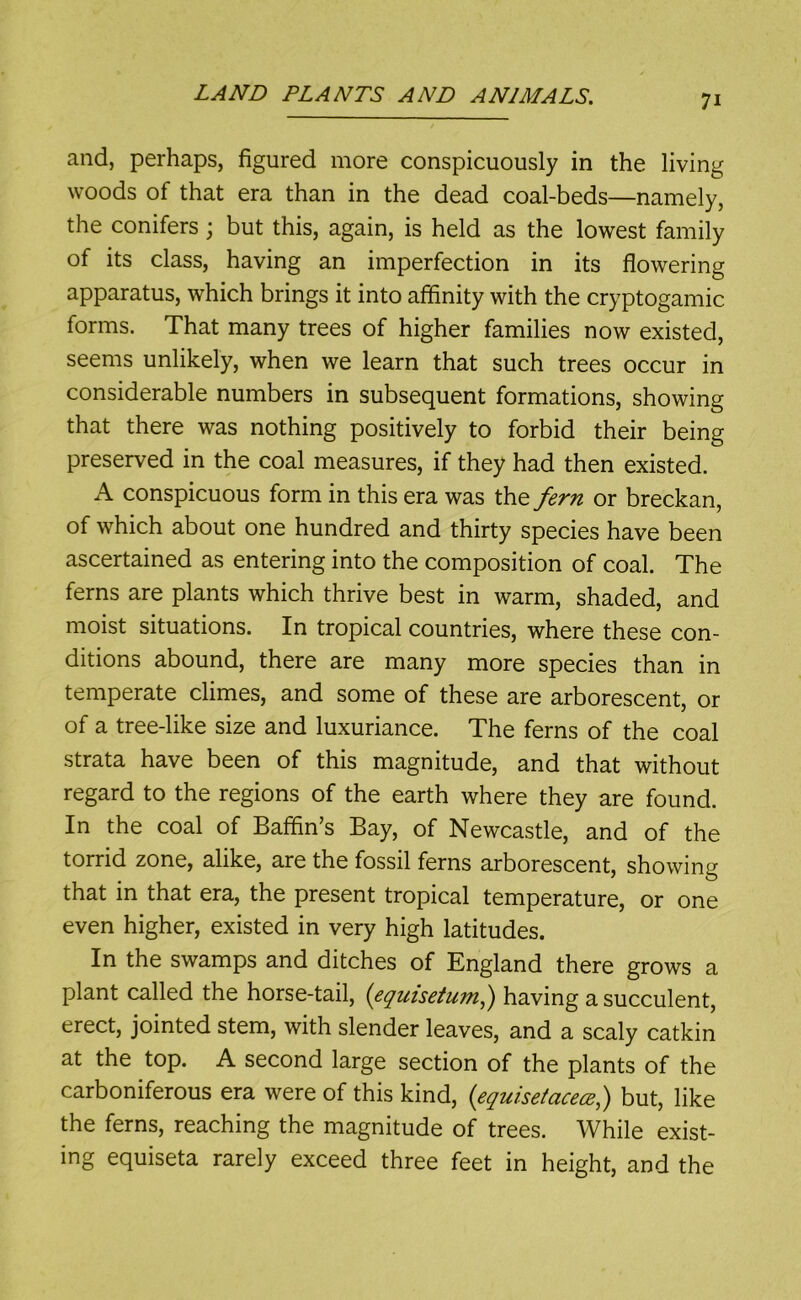 and, perhaps, figured more conspicuously in the living woods of that era than in the dead coal-beds—namely, the conifers; but this, again, is held as the lowest family of its class, having an imperfection in its flowering apparatus, which brings it into affinity with the cryptogamic forms. That many trees of higher families now existed, seems unlikely, when we learn that such trees occur in considerable numbers in subsequent formations, showing that there was nothing positively to forbid their being preserved in the coal measures, if they had then existed. A conspicuous form in this era was the fern or breckan, of which about one hundred and thirty species have been ascertained as entering into the composition of coal. The ferns are plants which thrive best in warm, shaded, and moist situations. In tropical countries, where these con- ditions abound, there are many more species than in temperate climes, and some of these are arborescent, or of a tree-like size and luxuriance. The ferns of the coal strata have been of this magnitude, and that without regard to the regions of the earth where they are found. In the coal of Baffin’s Bay, of Newcastle, and of the torrid zone, alike, are the fossil ferns arborescent, showing that in that era, the present tropical temperature, or one even higher, existed in very high latitudes. In the swamps and ditches of England there grows a plant called the horse-tail, (equisetum,) having a succulent, erect, jointed stem, with slender leaves, and a scaly catkin at the top. A second large section of the plants of the carboniferous era were of this kind, {equisetacecs,) but, like the ferns, reaching the magnitude of trees. While exist- ing equiseta rarely exceed three feet in height, and the