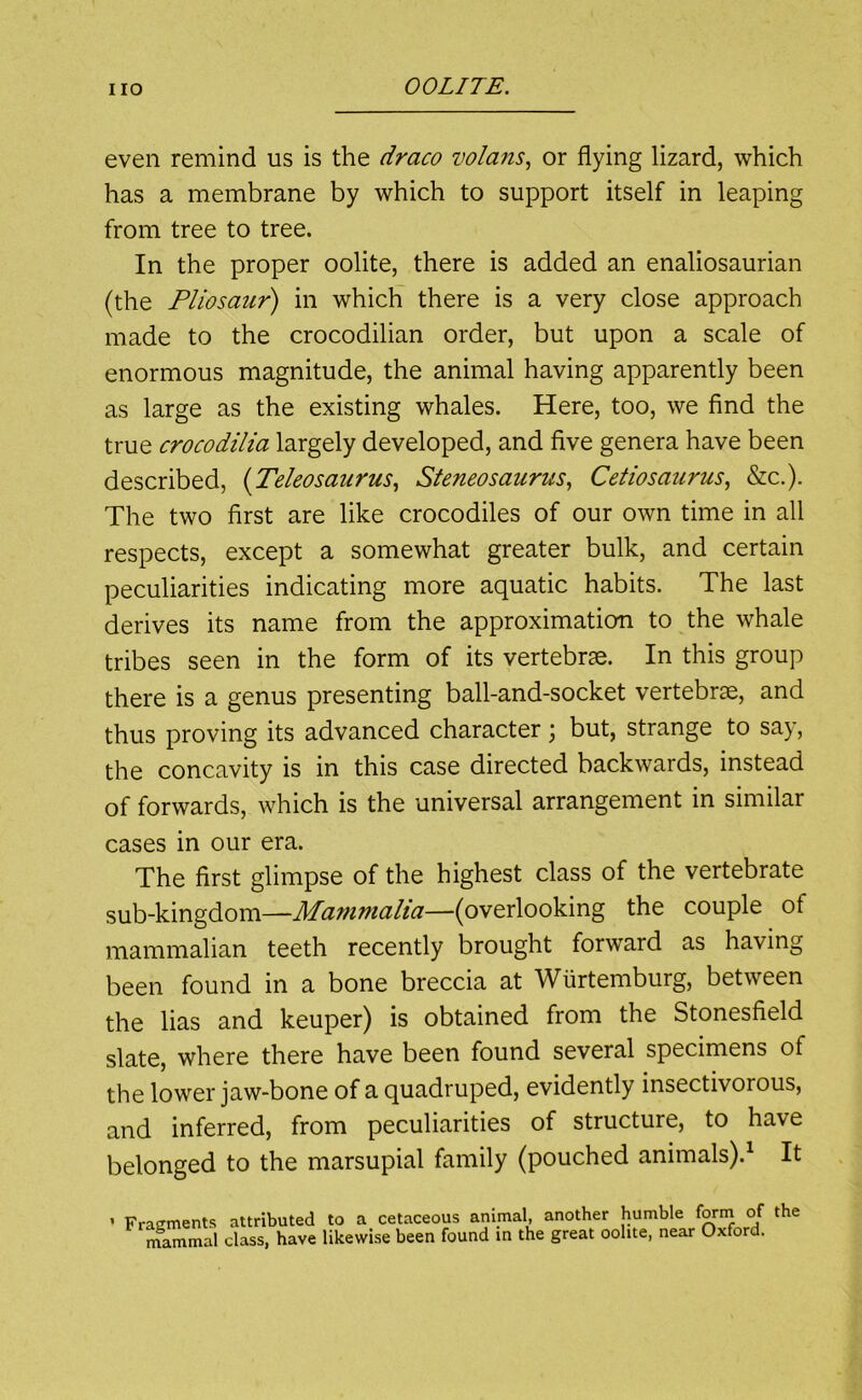 even remind us is the draco volans, or flying lizard, which has a membrane by which to support itself in leaping from tree to tree. In the proper oolite, there is added an enaliosaurian (the Pliosaur) in which there is a very close approach made to the crocodilian order, but upon a scale of enormous magnitude, the animal having apparently been as large as the existing whales. Here, too, we find the true crocodilia largely developed, and five genera have been described, {Teleosaurus., Steneosaurus.^ Cetiosaurus^ &c.). The two first are like crocodiles of our own time in all respects, except a somewhat greater bulk, and certain peculiarities indicating more aquatic habits. The last derives its name from the approximation to the whale tribes seen in the form of its vertebrae. In this group there is a genus presenting ball-and-socket vertebrae, and thus proving its advanced character; but, strange to say, the concavity is in this case directed backwards, instead of forwards, which is the universal arrangement in similar cases in our era. The first glimpse of the highest class of the vertebrate sub-kingdom—Mammalia—(overlooking the couple of mammalian teeth recently brought forward as having been found in a bone breccia at Wiirtemburg, between the lias and keuper) is obtained from the Stonesfield slate, where there have been found several specimens of the lower jaw-bone of a quadruped, evidently insectivorous, and inferred, from peculiarities of structure, to have belonged to the marsupial family (pouched animals).^ It ’ Fragments attributed mammal class, have to a cetaceous animal, another humble form of the likewise been found in the great oolite, near Oxford.