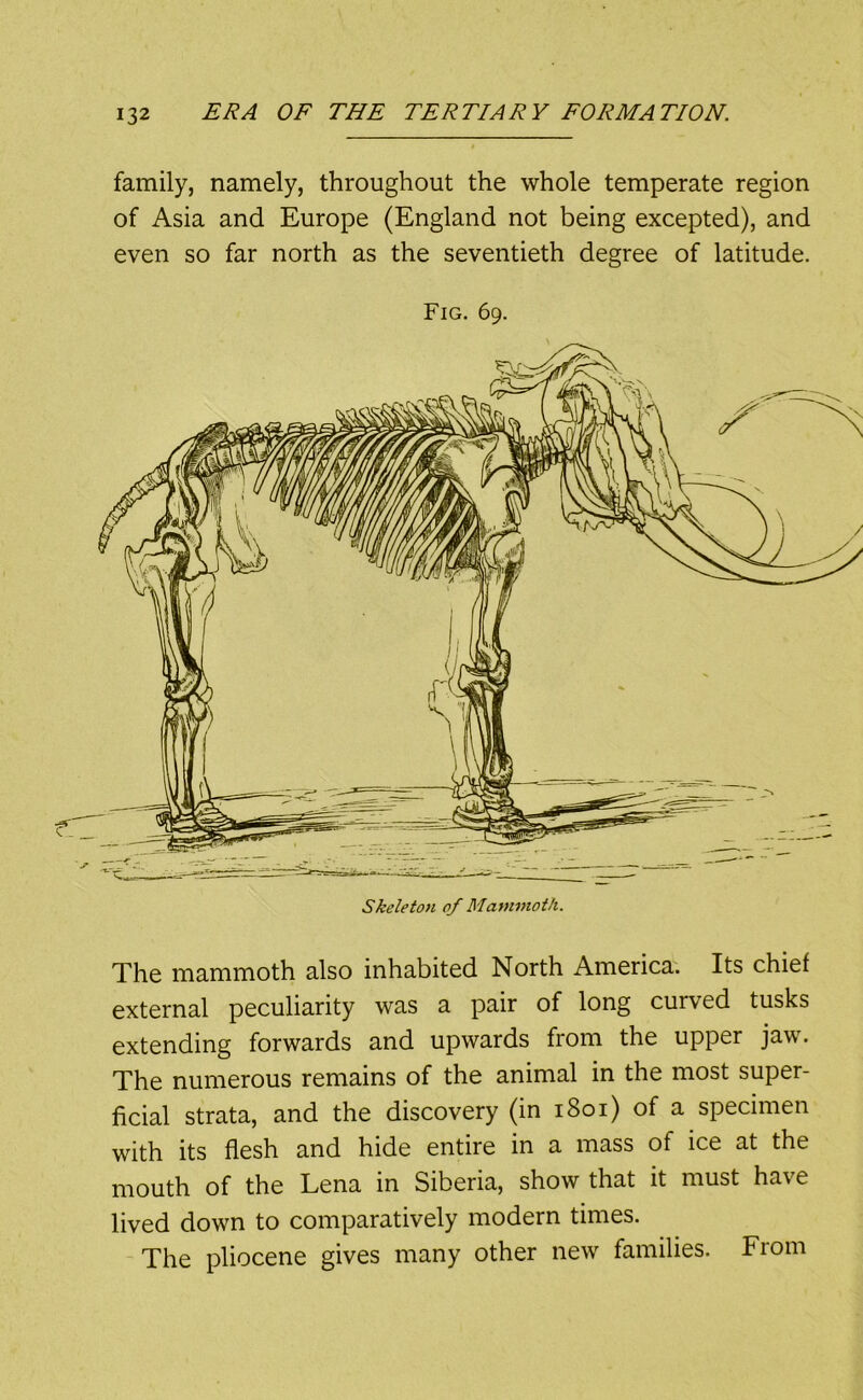 family, namely, throughout the whole temperate region of Asia and Europe (England not being excepted), and even so far north as the seventieth degree of latitude. Fig. 69. Skeleton of Mammoth. The mammoth also inhabited North America. Its chief external peculiarity was a pair of long curved tusks extending forwards and upwards from the upper jaw. The numerous remains of the animal in the most super- ficial strata, and the discovery (in 1801) of a specimen with its flesh and hide entire in a mass of ice at the mouth of the Lena in Siberia, show that it must have lived down to comparatively modern times. The pliocene gives many other new families. From