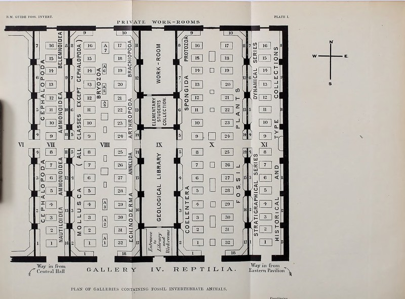 PRIVATE WORK-ROOMS W PLAN OF GALLERIES CONTAINING FOSSIL INVERTEBRATE ANIMALS.