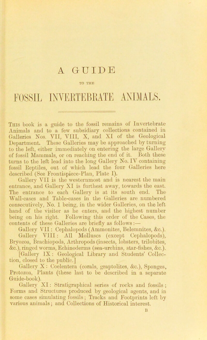 A GUIDE TO THE ANIMALS. This book is a guide to the fossil remains of Invertebrate Animals and to a few subsidiary collections contained in Galleries Nos. VII, VIII, X, and XI of the Geological Department. These Galleries may be approached by turning to the left, either immediately on entering the large Galleiy of fossil Mammals, or on reaching the end of it. Both these turns to the left lead into the long Gallery No. IV containing fossil Reptiles, out of which lead the four Galleries here described (See Frontispiece-Plan, Plate I). Gallery VII is the westernmost and is nearest the main entrance, and Gallery XI is furthest away, towards the east. The entrance to each Gallery is at its south end. The AVall-cases and Table-cases in the Galleries are numbered consecutively. No. 1 being, in the wider Galleries, on the left hand of the visitor as he enters, and the highest number beinw on his right. Following this order of the Cases, the contents of these Galleries are briefly as follows:— Gallery VII: Cephalopods (Ammonites, Belemnites, &c.). Gallery VIII: All Molluscs (except Cephalopods), Bryozoa, Brachiopods, Arthropods (insects, lobsters, trilobites, &c.), ringed worms, Echinoderms (sea-urchins, star-flshes, &c.). [Gallery IX: Geological Library and Students’ Collec- tion, closed to the public.] Gallery X: Coelentera (corals, graptolites, &c.). Sponges, Protozoa, ITants (these last to be described in a separate Guide-book). Gallery XI: Stratigraphical series of rocks and fossils ; Fonns and Structures produced by geological agents, and in some cases simulating fossils ; Tracks and Footprints left by various animals; and Collections of Historical interest.