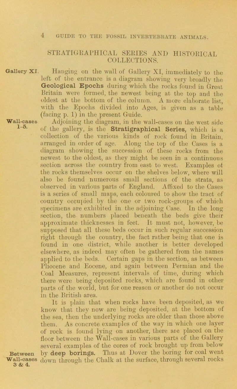 STlJATlGltArHlCAL SElilES AND HISTOiaCAL COLLECTIUNS. Gallery XI. Hanging on the wall of Gallery XI, immediately to the left of the entrance is a diagram shoving very broadly the Geological Epochs during which the rocks found in Great Britain were formed, the newest being at the top and the oldest at the bottom of the column. A more elaborate list, with the Epochs divided into Ages, is given as a table (facing p. 1) in the present Guide. Wall-cases Adjoining the diagram, in the wall-eases on the west side of the gallery, is the Stratigraphical Series, which is a collection of the various kinds of rock found in Britain, arranged in order of age. Along the top of the Cases is a diagram showing the succession of these rocks from the newest to the oldest, as they might be .seen in a continuous section across the country from east to west. Examydes ot the rocks themselves occur on the shelves below, where will also be found numerous small sections of the strata, as observed in various parts of England. Affixed to the Cases is a series of small mayis, each coloured to show the tract of country occuyiied by the one or two rock-groups of which syiecimens are exhibited in the adjoining Case. In the long section, the numbers yilaced beneath the beds give their ayiproximate thicknesses in feet. It must not, however, be suyiposed that all these beds occur in such regular succession right through the country, the fact rather being that one is found in one district, while another is better developed elsewhere, as indeed may often be gathered from the names ayiplied to the beds. Certain gaps in the section, as between Pliocene and Eocene, and again between Permian and the Coal Measures, reyiresent intervals of time, during which there were being deposited rocks, which are found in other parts of the world, but for one reason or another do not occur in the British area. It is jdain that when rocks have been deyjosited, lus we know that they now are being deposited, at the bottom of the sea, then the underlying rocks are older than those above them. As concrete examydes of the way in which one layer of rock is found lying on another, there aie placed on the door between the Wall-cases in various parts of the Gallery several examples of the cores of rock brought uy> from below Between by deep borings. Thus at Dover the boring for coal went Wall-eases down throuah the Chalk at tlie surface, through several rocks