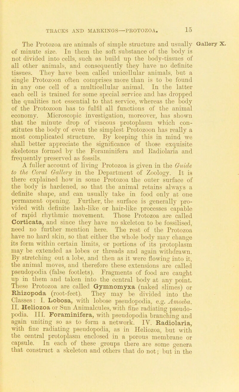 The Protozoa are animals of simple structure and usually of minute size. In tliem the soft substance of the body is not divided into cells, such as build up the body-tissues of all other animals, and consequently they have no definite tissues. They have been called unicellular animals, but a single Protozoon often comprises more than is to be found in any one cell of a multicellular animal. In the latter each cell is trained for some special service and has dropped the qualities not essential to that service, whereas the body of the Protozoon has to fulfil all functions of the animal economy. Microscopic investigation, moreover, has shown that the minute drop of viscous protoplasm which con- stitutes the body of even the simplest Protozoon has really a most complicated structure. By keeping this in mind we shall better appreciate the significance of those exquisite skeletons formed by the Foraminifera and lladiolaria and frequently preserved as fossils. A fuller account of living Protozoa is given in the Guide to the Coral Gallery in the Department of Zoology. It is there explained how in some Protozoa the outer surface of the body is hardened, so that the animal retains always a definite shape, and can usually take in food only at one permanent opening. Further, the surface is generally pro- vided with definite lash-like or hair-like processes capable of rapid rhythmic movement. Those Protozoa are called Corticata, and since they have no skeleton to be fossilised, need no further mention here. The rest of the Protozoa have no hard skin, so that either the whole body may cliange its form within certain limits, or portions of its protoplasm may be extended as lobes or threads and again withdrawn. By stretching out a lobe, and then as it were flowing into it, the animal moves, and therefore these extensions are called pseudopodia (false footlets). Fragments of food are caught up in them and taken into the central body at any point. These Protozoa are called Gymnomyxa (naked slimes) or Rhizopoda (root-feet). They may be divided into the Classes: I. Lobosa, with lobose pseudopodia, e.g. Amoeba. II. Heliozoa or Sun Animalcule.s, with fine radiating pseudo- podia. 111. Foraminifera, with pseudopodia branching and again uniting so as to form a network. IV. Radiolaria, with fine radiating pseudopodia, as in Heliozoa, but with the central protoplasm enclosed in a porous membrane or capsule. In each of these groups there are some genera that construct a skeleton and others that do not; Init in the Gallery