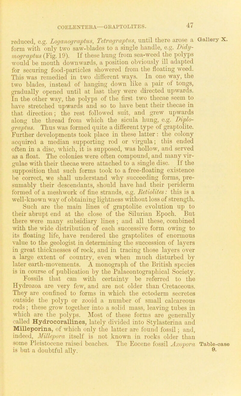 COELENTEEA—GEAPTOLITES. reduced, e.g. Loganogra^tus, Tctragraptus, until there arose a form with only two saw-blades to a single handle, e.g. Didy- mograptus (Fig. 19). If these hnng from sea-weed the polyps would be mouth downwards, a position obviously ill adapted for securing food-particles showered from the floating weed. This was remedied in two different ways. In one way, the two blades, instead of hanging down like a pair of tongs, gradually opened until at last they were directed upwards. In the other way, the polyps of the first two thecae seem to have stretched upwards and so to have bent their thecae in that direction; the rest followed suit, and grew upwards along the thread from which the sicula hung, e.g. Diplo- graptus. Thus was formed quite a different type of graptolite. Further developments took place in these latter: the colony acquired a median supporting rod or virgula; this ended often in a disc, which, it is supposed, was hollow, and served as a float. The colonies were often compound, and many vir- gulae with their thecae were attached to a single disc. If the supposition that such forms took to a free-floating existence be correct, we shall understand why succeeding forms, pre- sumably their descendants, should have had their periderm formed of a meshwork of fine strands, e.g. Retiolites: this is a well-known way of obtaining lightness without loss of strength. Such are the main lines of graptolite evolution up to their abrupt end at the close of the Silurian Epoch. But there were many subsidiary lines ; and all these, combined with the wide distribution of each successive form owing to its floating life, have rendered the graptolites of enormous value to the geologist in determining the succession of layers in great thicknesses of rock, and in tracing those layers over a large extent of country, even when much disturbed by later earth-movements. A monograph of the British species is in course of publication by the Palaeontographical Society. Fossils tliat can with certainty be referred to the Hydrozoa are very few, and are not older than Cretaceous. They are confined to forms in which the ectoderm secretes outside the polyp or zooid a number of small calcareous rods; tliese grow together into a solid mass, leaving tubes in which are the polyps. Most of these forms are generally called Hydrocorallines, lately divided into Stylasterina and Milleporina, of which only the latter are found fossil; and, indeed, Millcpora itself is not known in rocks older than some Pleistocene raised beaches. The Eocene fossil Axopora is but a doubtful ally. Gallery X. Table-case 9.