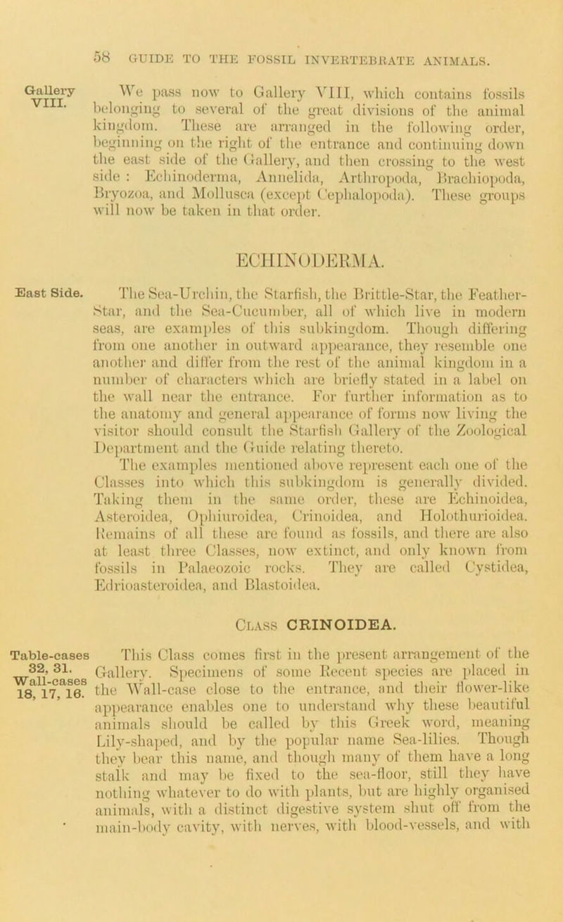 VIII. East Side. Table-eases 32, 31. Wall-cases 18, 17, 16. 58 GUIDE TO THE FOSSIL INVERTEBllATE ANIMALS. b(!loiij:(iu<f to several of the great divi.sioiis of the animal kingdom. These are arranged in the following order, beginning on tlie right of the entrance and contiiming down the east side of the Gallery, and tlien crossing to the west side : Echinoderma, Annelida, Arthropoda, llrachiopoda, Bryozoa, and Mollusca (exce})t ('ephalopoda). These groups will now be taken in that onler. ECHINODERMA. The Sea-Urchin, the Starfi.sh, the Brittle-Star, the Eeather- Star, and the Sea-Cucnmber, all of which live in modern seas, are examples of this snbkingdom. Thongh differing from one another in outward appearance, they resemble one another and diller from the rest of the animal kingdom in a number of characters which are brietly stated in a label on the wall near the entrance. For further information as to the anatomy and general a])peariuice of forms now living the visitor shoidd consult the Starfish Gallery of the Zoological I)e]>artment and the Guide relating thereto. The examples mentioned above represent each one of the Classes into which this snbkingdom is generally divided. Taking them in the same order, the.se are Echinoidea, Asteroidea, Ophiuroidea, Crinoidea, and Holothurioidea. Kemains of all tlie.se are found as fossils, and there are also at least three Classes, now extinct, and only known from fossils in Palaeozoic rocks. They are called Cystidea, Edrioasteroidea, and Blastoidea, Class CRINOIDEA. This Class comes first in the jiresent ari-angement of the Gallery. Specimens of some Recent species are placed in the Wall-case close to the entrance, and their Hower-like apiiearance enables one to understand why these l.ieautiful animals should be called by this Greek word, meaning Lily-shaped, and by the popular name Sea-lilies. Though they bear this name, and though many of them have a long stalk and may be fixed to the sea-floor, still they have nothing whatever to do with plants, Imt are highly organised animals, with a distinct digestive system shut off from the main-body cavity, with nerves, with blood-vessels, and with