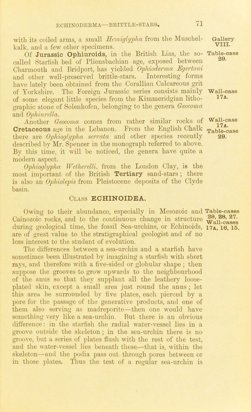 ECHINODEEMA—BEITTLE-STAES. with its coiled arms, a small Hcmigbjplia from the Muschel- kalk, and a few other specimens. Of Jurassic Ophiuroids, in the British Lias, the so- called Starfish bed of Pliensbachian age, exposed between Charmouth and Bridport, has yielded OpModerma Egertoni and other well-preserved brittle-stars. Interesting forms have lately been obtained from the Corallian Calcareous gi’it of Yorkshire. The Foreign Jurassic series consists mainly of some elegant little species from the Kimmeridgian litho- graphic stone of Solenhofen, belonging to the genera Geocoma and OphiuTcUa. Another Geocoma comes from rather similar rocks of Cretaceous a<>e in the Lebanon. From the English Chalk there are Ophioglypha scrrata and other species I’ecently described by Mr. Spencer in the monograph referred to above. By this time, it will be noticed, the genera have quite a modern aspect. Ophioglypha Wetherelli. from the London Clay, is the most important of the British Tertiary sand-stars ; there is also an Ophiolepis from Pleistocene deposits of the Clyde basin. Class ECHINOIDEA. Owing to their abundance, especially in Mesozoic and Cainozoic rocks, and to the continuous change in structure during geological time, the fossil Sea-urchins, or Echinoids, are of great value to the stratigraphical geologist and of no less interest to the student of evolution. The differences between a sea-urchin and a starfish have sometimes been illustrated by imagining a starfish with short rays, and therefore with a five-sided or globular shape ; then suppose the grooves to grow upwards to the neighbourhood of the anus so that they supplant all the leathery loose- plated skin, except a small area just round the anus ; let this area be surrounded by five plates, each pierced by a pore for the passage of the generative products, and one of them also serving as madreporite—then one would have something very like a sea-urchin. But there is an obvious difference: in the starfish the radial water-vessel lies in a groove outside the skeleton; in the sea-urchin there is no groove, but a series of plates flush with the rest of the test, and the water-vessel lies beneath these—that is, within the skeleton—and the podia pass out through pores between or in those plates. Thus the test of a regular sea-urchin is Gallery VTII. Table-case 29. Wall-case 17 A. Wall-case 17a. Table-case 29. Table-cases 29, 28, 27. Wall-cases 17A, 16, 16.