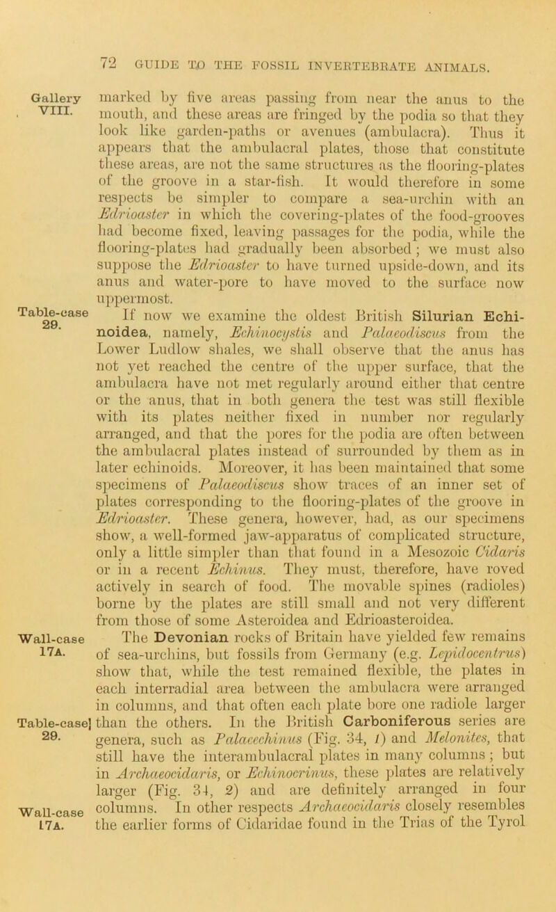 Gallery VIII. Table-case 29. Wall-case I 7a. Table-case) 29. Wall-case 17 a. marked by live area.s pa.ssiu«f from near the anus to the mouth, ami these areas are fringed by the podia so that they look like garden-paths or avenues (ambulacra). Tims it appears that the ambulacral plates, those that constitute these ai-eas, are not the same structures as the flooring-plates of the groove in a star-fish. It would therefore in some respects be simpler to compare a sea-urchin with an Udrioastcr in which the covering-i)lates of the food-grooves had become fixed, leaving passages for the podia, while the flooring-plates had gradually been absorbed ; we must also suppose the Edrioastcr to have turned upside-down, and its anus and water-pore to have moved to the surface now u])pennost. If now we examine the oldest British Silurian Echi- noidea, namely, Echinocydia and Palacodiscns from the Lower Ludlow shales, we shall observe that the anus has not yet reached the centre of the upper surface, that the ambulacra have not met I’egularly around either that centre or the anus, that in both genera the test was still flexible with its plates neither fixed in number nor regularly arranged, and that the pores for the podia are often between the ambulacral plates instead of surrounded by them as in later echinoids. Moreover, it has been maintained that some specimens of Falaeodiscus show traces of an inner set of plates corresponding to the flooring-plates of the groove in Edrioanter. These genera, however, had, as our specimens show, a well-formed jaw-apjjaratus of complicated structure, only a little sim])ler than that found in a IMesozoic Cidaiis or in a recent Echinus. They must, therefore, have roved actively in seai’ch of fo(jd. The movable spines (radioles) borne by the plates are still small and not very different from those of some Asteroidea and Edrioasteroidea. The Devonian rocks of Britain have yielded few remains of sea-urchins, but fossils from Germany (e.g. Leindocentrus) show that, while the test remained flexible, the plates in each interradial .area between the ambulacra were arranged in columns, and that often each plate bore one r.adiole larger than the others. In the British Carboniferous series are genera, such as Falaccchiwus (Fig. 34, /) and Melonites, that still have the interambulacral pl.ates in many columns ; but in Archaeocidctris, or Echinocrinus, these jilates are relatively larger (Fig. 34, 2) and are definitely arranged in four columns. In other respects Archacocidaris closely resembles the earlier forms of Cidaridae found in the Trias of the Tyrol