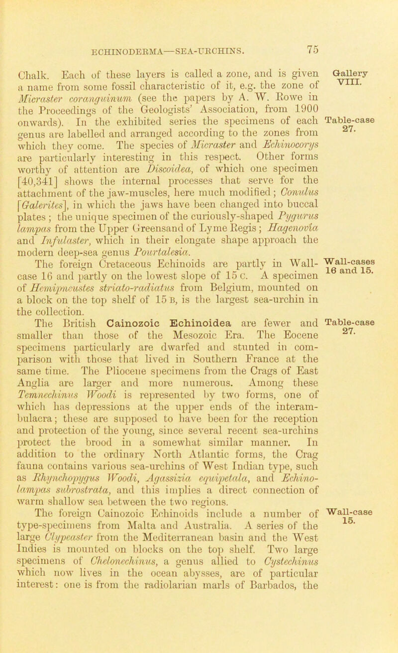 Chalk. Each of these layers is called a zone, and is given a name fi'oni some fossil characteristic of it, e.g. the zone of Micraster coranguinum (see the papers by A. W. Rowe in the Proceedings of the Geologists’ Association, from 1900 onwards). In the exhibited series the specimens of each genus are labelled and arranged according to the zones from which they come. The species of Micraster and Ecliinocorys are particularly interesting in this respect. Other forms worthy of attention are Discoidea, of which one specimen [40,341] shows the internal processes that serve for the attachment of the jaw-muscles, here much modified ; Gormlus \Galerites], in which the jaws have been changed into buccal plates ; the unique specimen of the curiously-shaped Fygurics lampas from the Upper Greensand of Lyme Regis ; Hagenovia and Inftdaster, which in their elongate shape approach the modern deep-sea genus Fourtalesia. The foreign Cretaceous Echinoids are partly in Wall- case 16 and ]>artly on the lowest slope of 15 c. A specimen of Hcmiimeitstes striato-radiatics from Belgium, mounted on a block on the top shelf of 15 b, is the largest sea-urchin in the collection. The British Cainozoic Echinoidea are fewer and smaller than those of the Mesozoic Era. The Eocene specimens particularly are dwarfed and stunted in com- parison with those that lived in Southern Ei'ance at the same time. The Pliocene specimens from the Crags of East Anglia are larger and more numerous. Among these Temncchinus Woodi is represented l>y two forms, one of which has depressions at the upper ends of the interam- bulacra ; these are supposed to have been for the reception and protection of the young, since several recent sea-urchins protect the brood in a somewhat similar manner. In addition to the ordinary North Atlantic forms, the Crag fauna contains various sea-urchins of West Indian type, such as lihynchopygus JFoodi, Agassizia cq%dpetala, and Ecliino- lampas subrostrata, and this implies a direct connection of warm shallow sea between the two regions. The foreign Cainozoic Echinoids include a number of type-specimens from Malta and Australia. A series of the large Clypcaster from the Mediterranean basin and the West Indies is mounted on blocks on the top shelf. Two large specimens of Chdoncchmus, a genus allied to Cystcchimis which now lives in the ocean abysses, are of particular interest: one is from the radiolarian marls of Barbados, the Gallery VIII. Table-case 27. Wall-cases 16 and 15. Table-case 27. Wall-case 15.