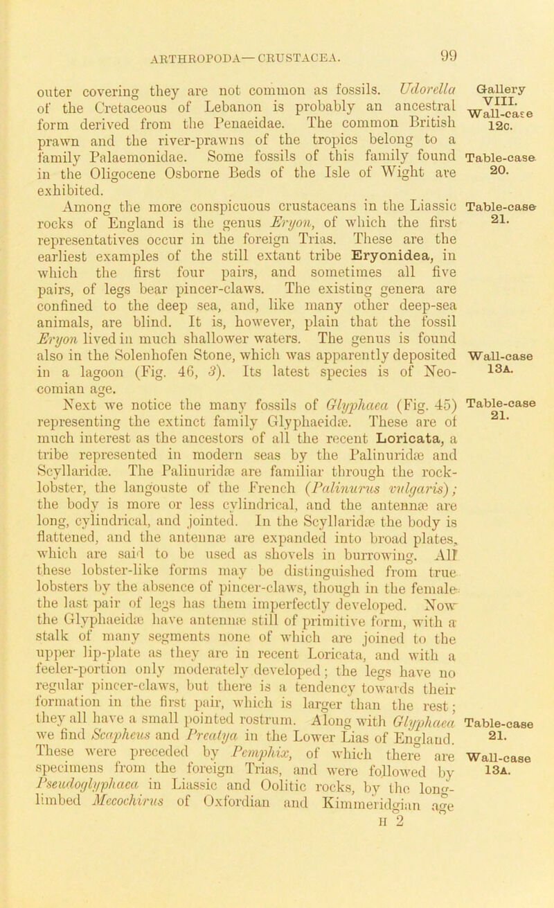 outer covering they are not common as fossils. UdorcUa of the Cretaceous of Lebanon is probably an ancestral form derived from the I’enaeidae. The common British prawn and the river-prawns of the tropics belong to a family Palaemonidae. Some fossils of this family found in the Oligocene Osborne Beds of the Isle of Wight are exhibited. Among the more conspicuous crustaceans in the Liassic rocks of England is the genus Eryon, of which the first representatives occur in the foreign Trias. These are the earliest examples of the still extant tribe Eryonidea, in which the first four pairs, and sometimes all five pairs, of legs bear pincer-claws. The existing genera are confined to the deep sea, and, like many other deep-sea animals, are blind. It is, however, plain that the fossil Eryon lived in much shallower waters. The genus is found also in the Solenhofen Stone, which was apparently deposited in a lagoon (Fig. 46, 3). Its latest species is of ISTeo- cornian age. Next we notice the many fo.ssils of Glypliaca (Fig. 45) representing the extinct family Glyphaeidre. These are of much interest as the ancestors of all the rticeut Loricata, a tribe represented in modern seas by the Palinuridm and Scyllarhlfe. The Paliuuridm are familiar through the rock- lobster, the langouste of the French (Palimirus vidyaris); the body is more or less cylindrical, and the antennae are long, cylindrical, and jointed. In the Scyllaridae the body is flattened, and the antennai are expanded into broad plates, which are said to be used as shovels iu burrowing. All these lobster-like forms may be distingui.shed from true lobsters by the absence of pincer-claws, though in the female the last pair of legs has them imperfectly developed. Now- the Glyphaeidte have antenme still of primitive form, with a stalk of many segments none of which are joined to the upper lip-])late as they are iu recent Loricata, and with a feeler-portion only moilerately developed; the legs have no regular pincer-claws, but there is a tendency towards their formation in the first pair, which is larger than the rest; they all have a small ])ointed rostrum. Along with Glyphaca we find Scaphms and Prcalya in the Lower Lias of England. These were j^receded by Pcmphix, of which there are specimens frmn the foreign Trias, and were followed by I’seudoylyphaca in Liassic and Oolitic rocks, by the lomr- limbed Mecochiriis of Oxfordian and Kimmeridgian a«e Qallery VIII. Wall-caje 12c. Table-case 20. Table-ease 21. Wall-ease 13A. Table-case 21. Table-case 21. Wall-case 13 a.