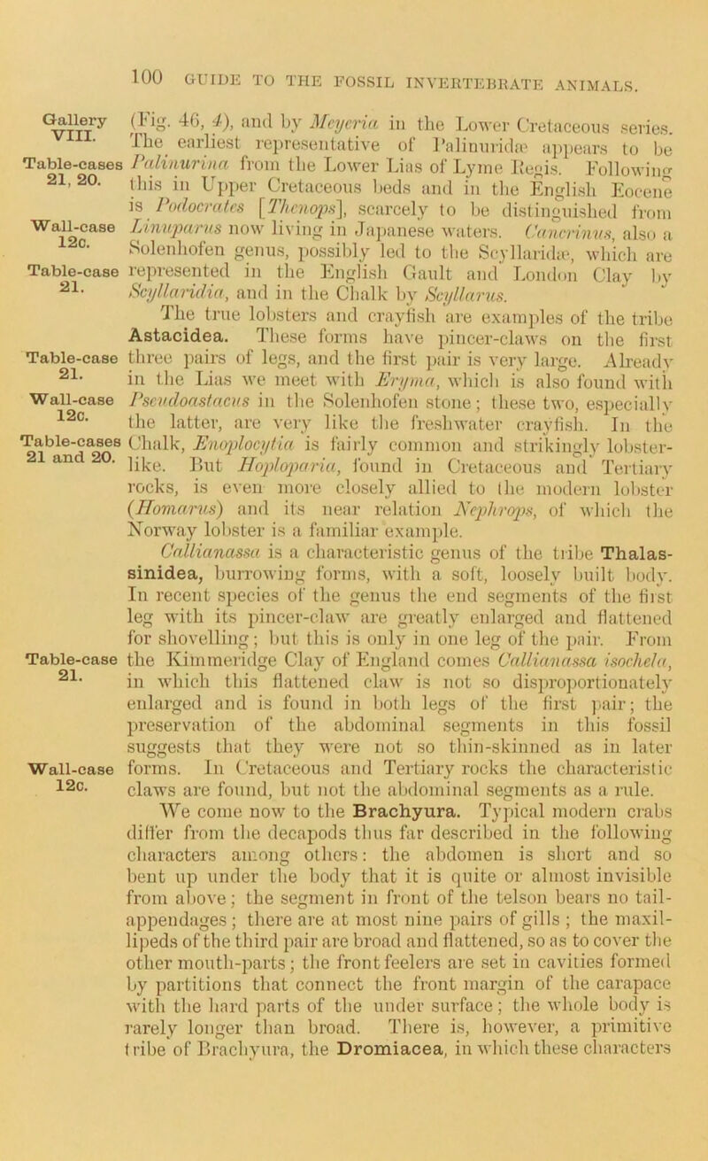 Cillery 46, 4), aiul by Mcycria in tiie Lower Cretaceous .series. The_ earliest repre.sentative of I’aliniiricl'e appears to be Table-cases Palinurina from the Lower Lias of Lyme l;efti.s. Followimr 21, 20. i„ Upper Cretaceous beds ami in the Engli.sh Eocene is Podocrates [lltcnopH], scarcely to be distinguished from Wall-case Linuparns now living in Ja])anese waters. CaiUThins, also a Solenliofen genus, po,ssildy led to tlie Scyllarnhe, which are Table-case repi’eseiited in the English Gault and London Clay by ScjjllaHdia, and in the Chalk by Scylhmis. The true lobsters and crayfish are examjiles of the tribe Astacidea. These forms have pincer-claws on the first Table-case three pairs of legs, and the first ])air is very large. Already in the Lias we meet with Eryma, which is also found with Wall-case J'scudoasfncus in the Solenliofen .stone; these two, e.specially the latter, are very like the fre.shwater crayfish. In the Table-C^es Chalk, Enojjlocytia is fairly common and strikingly lobster- ■ like. ])Ut HopJopariu, found in Cretaceous and Tertiarv rocks, is even more closely allied to the modern lobster (Homarus) and its near relation Nejjhrcps, of which the Norway lobster is a familiar example. Callianassa is a characteristic genus of the tribe Thalas- sinidea, Imrrowing forms, with a soft, loosely Imilt body. In recent .species of the genus the end segments of the first leg with its pincer-claw are greatly enlarged and flattened for shovelling; Init this is only in one leg of tlie pair. From Table-case the Kimineridge Clay of England comes Callianassa isochcla, in which this flattened claw is not so disproportionately enlarged and is found in lioth legs of the first pair; the preservation of the abdominal segments in this fossil suggests that they were not so thin-skinned as in later Wall-case forms. In Cretaceous and Tertiary rocks the characteristic 12c. claws are found, but not the abdominal segments as a rule. AVe come now to the Brachyura. Typical modern crabs differ from tlie decapods thus far described in the following characters among others: the abdomen is short and so bent up under tlie body that it is quite or almost invisible from above; the segment in front of the telson bears no tail- appendages ; there are at most nine pairs of gills ; the maxil- lipeds of the third pair are broad and flattened, so as to cover the other mouth-parts; the front feelers are .set in cavities formed by partitions that connect the front margin of the carapace •with the hard parts of the under surface; the whole body is rarely longer than broad. There is, however, a primitive tribe of Brachyura, the Dromiacea, in which these characters