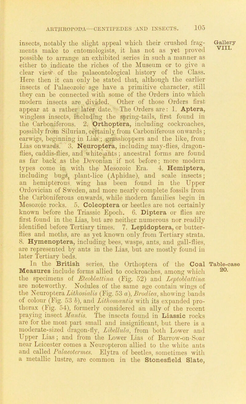 ARTPRaPaiTA—CENTIPEDES AND INSECTS. insects, notably the slight appeal ■which their crushed frag- ments make to entomologists, it has not as yet proved possible to arrange an exhibited series in such a manner as either to indicate the riches of the IMuseum or to give a clear vie’#-of the palaeontological history of the Class. Here then it can only be stated that, although the earlier insects of I’alaeozoic age have a primitive character, still they can be connected with some of the Orders into which modern insects are divided. Other of those Orders first appear at a rather later date. The Orders are: 1. Aptera, wingless insects, including the spring-tails, first found in the Carboniferous. 2. Qrthoptera, including cockroaches, possibly from Silurian, ceftaiuly from Carboniferous onwards; earwigs, beginning in Lias:; grasshoppers and the like, from Lias onwards. 3. Neuroptera, including may-flies, dragon- flies, caddis-flies, and'w hi tenants ; ancestral forms are found as far back as the Devonian if not before; more modern types come in with the Mesozoic Era. 4. Hemiptera, including bugS^ plant-lice (Aphidae), and scale insects; an hemipterous, wing has been found in the Upper Ordovician of Sweden, and more nearly complete fossils from the Carboniferous onwards, while ihodern families liegin in Mesozoic rocks. 5. Coleoptera or beetles are not certainly known before the Triassic Epoch. 6. Diptera or flies are first found in the Lias, but are neither numerous nor readily identified before Tertiary times. 7. Lepidoptera, or butter- flies and moths, are as yet known only from Tertiary strata. 8. Hynaenoptera, including bees, wasps, ants, and gall-flies, are represented by ants in the Lias, but are mostly found in later Tertiary beds. In the British series, the Orthoptera of the Coal Measures include forms allied to cockroaches, among which the specimens of Etcohlattina (Fig. 52) and Leptoblattina are noteworthy. Nodules of the same age contain wings of the NeuropteraZz7/msirth’s (Fig. 53 a), Brodiea, showing bands of colour (Fig. 53 h), and Lithomantis with its expanded pro- thorax (Fig. 54), formerly considered an ally of the recent praying insect Mantis. The insects found in Liassic rocks are for the most part small and insignificant, but there is a moderate-sized dragon-fly, Lihdlula, from both Lower and Upper Lias; and from the Lower Lias of Barrow-on-Soar near Leicester comes a Neuropteron allied to tlie white ants and called Falaeotcrmes. Elytra of beetles, sometimes with a metallic lustre, are common in the Stonesfield Slate, Gallery VIII. Table-case 20.