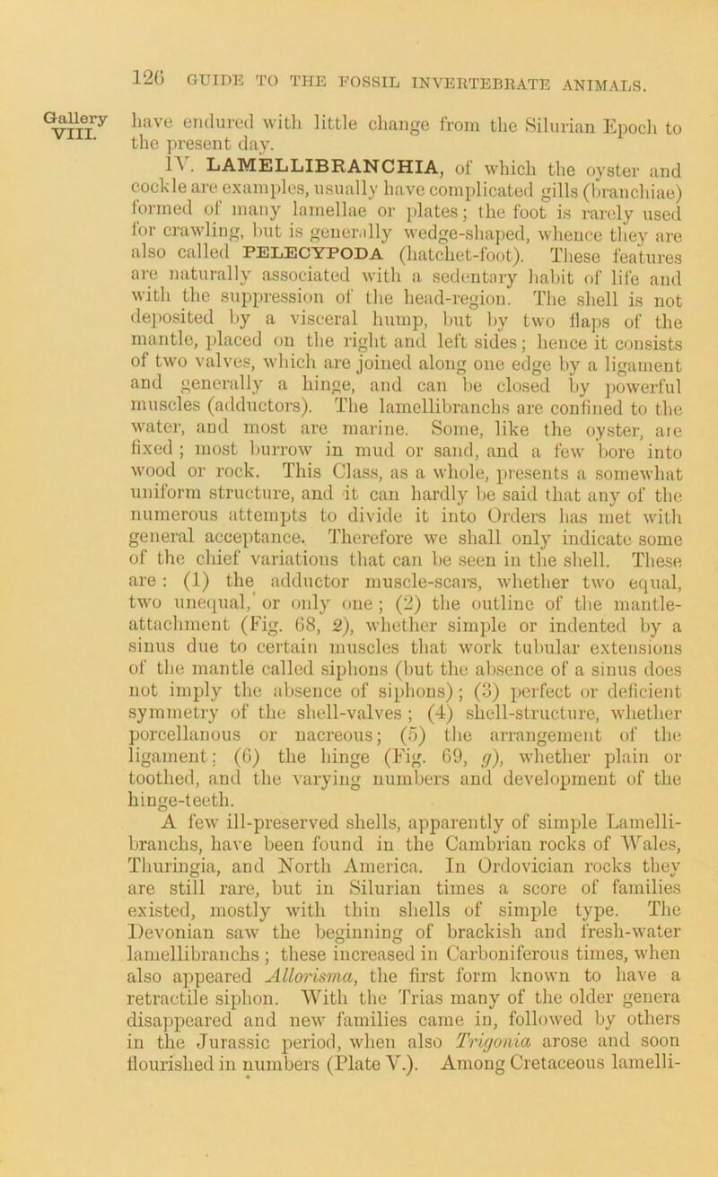 VIII. 120 GUIDE TO THE FOSSIL INVEETEBRATE ANIMALS. have endured with little change from the .Silurian Epoch to the ]n’esent day. 1^ • LAMELLIBRANCHIAj of which the oyster and cockle are examples, usually have complicated gills (l)ranchiae) formed of many lamellae or plates; the foot is rarely used for crawling, hut is gener.dly wedge-shaped, whence they are also called PELECYPODA (hatchet-foot). Tliese features are naturally associated with a sedentary habit of life and with the suppression of the head-region. The shell is not deposited by a visceral hump, hut by two flaps of the mantle, placed on the right and left sides; hence it consists of two valves, which are joined along one edge by a ligament and generally a hinge, and can be closed by powerful muscles (adductors). The lamellibranchs are confined to the water, and most arc mai’ine. Some, like the oyster, aie fixed ; most burrow in mud or sand, and a few l)ore into wood or rock. This Class, as a v\’hole, presents a somewhat uniform structure, and it can hardly be said that any of the numerous attempts to divide it into Orders has met with general acceptance. Therefore we shall only indicate some of the chief variations that can be seen in the shell. These are; (1) the adductor muscle-scars, whether two equal, two unequal, or only one ; (2) the outline of the mantle- attachment (Fig. 68, 2), whether simple or indented by a sinus due to certain muscles that work tubular extensions of the mantle called siphons (but the absence of a sinus does not imply the absence of siphons); (3) perfect or deficient symmetry of the shell-valves ; (4) shell-structure, whether porcellanous or nacreous; (5) the arrangement of the ligament; (6) the hinge (Fig. 69, (j), whether plain or toothed, ami the varying numbers and development of the hinge-teeth. A few ill-preserved shells, apparently of simple Lamelli- branchs, have been found in the Cambrian rocks of AVales, Thuringia, and North America. In Ordovician rocks thev are still rare, but in Silurian times a score of families existed, mostly with thin shells of simple type. The Devonian saw the beginning of brackish and fresh-water lamellibranchs ; these increased in Carboniferous times, when also appeared Allorisma, the first form known to have a retractile siphon. With the Trias many of the older genera disappeared and new families came in, followed by others in the Jurassic period, when also Trigonia arose and soon flourished in numbers (Plate V.). Among Cretaceous lamelli-