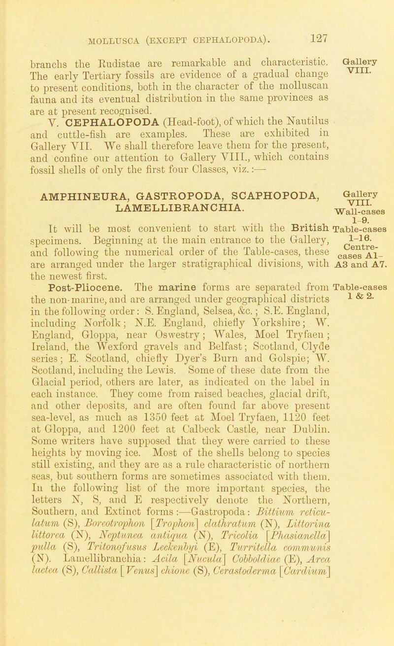 branchs the Iludistae are remarkable and characteristic. The early Tertiary fossils are evidence of a gradual change to present conditions, botli in the character of the inolluscan fauna and its eventual distribution in the same provinces as are at present recognised. V. CEPHALOPODA (Head-foot), of which the Nautilus and cuttle-fish are examples. These are exhibited in Gallery VII. We shall therefore leave them for the present, and confine our attention to Gallery VIII., which contains fossil shells of only the first four Classes, viz.:— AMPHINEURA, GASTROPODA, SCAPHOPODA, LAMELLIBRANCHIA. Tt will be most convenient to start with the British specimens. Beginning at the main entrance to the Gallery, and following the numerical order of the Table-cases, these are arranged under the larger stratigraphical divisions, with the newest first. Post-Pliocene. The marine forms are separated from the non-marine, and are arranged under geographical districts in the following order: S. England, Selsea, &c.; S.E. England, including Norfolk; N.E. England, chiefly Yorkshire; W. England, Gloppa, near Oswestry; Wales, Moel Tryfaen; Ireland, the Wexford gravels and Belfast; Scotland, Clyde series; E. Scotland, chiefly Hyer’s Burn and Golspie; W. Scotland, including the Lewis. Some of these date from the Glacial period, others are later, as indicated on the label in each instance. They come from raised beaches, glacial drift, and other deposits, and are often found far above present sea-level, as much as 1350 feet at jMoel Tryfaen, 1120 feet at Gloppa, and 1200 feet at Calbeck Castle, near Dublin. Some writers have supposed that they were carried to these heights by moving ice. Most of the shells belong to species still existing, and they are as a rule characteristic of northern seas, but southern forms are sometimes associated with them. In the following list of the more important species, the letters N, S, and E respectively denote the Northern, Southern, and Extinct forms :—Gastropoda: Bittium reticu- lattim (S), Borcotrcrphoii YTrophoii] clathratum (N), Littorina littorca (N), Ncjotitnca antiqua (N), Tricolia \^I^kasianella\ pulla (S), Tritonofusus Lcclcenhiji (E), Turritdla communis (N). Lamellibranchia: Acila \^Nucula\ Col)holdiae QL), Area lactea (S), Callista [ Vcnus\ cliionc (S), Cerastodervia \Cardium\ Gallery VIII. Gallery VIII. Wall-cases 19. Table-cases 1-16. Centre- cases Al- A3 and A7. Table-cases 1 & 2.