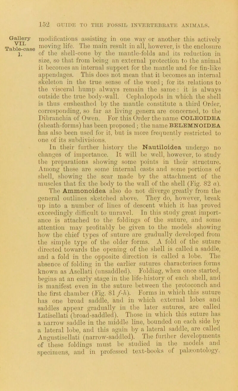 Gallery VII. Table-case 1. inodiliciitions a.ssisting in one way or another actively moving life. The main result in all, liowever, is the enclo.snre of the sliell-cone by the mantle-folds and its reduction in size, so that from being an external protection to the animal it becomes an internal support for the mantle and for Un-like appendages. This does not mean that it becomes an internal skeleton in the true sense of the word ; for its relations to the visceral hump always remain the same : it is always outside the true body-wall. Cephalopods in which the shell is thus eiTsheathefl by tlie mantle constitute a third Order, corresponding, so far as living genera are concerned, to tlie Dibranchia of Owen. For this Order the name COLEOIDEA (slieath-forms) has been proposed ; tlie name BELEMNOIDEA has also been used for it, but is more frequently restricted to one of its subdivisions. In their further history the Nautiloidea undergo no changes of importance. It will be well, however, to study the preparations showing some jioints in their structure. Among these are some internal casts and some portions of .shell, showing the scar made by the attachment of the muscles that fix the body to the wall of the shell (Fig. 82 a). 'file Ammonoidea also do not diverge greatly from the general outlines sketched above. 'They do, however, lireak up into a number of lines of descent which it has jiroved exceedingly diihcult to unravel. In this study great import- ance is attached to the foldings of the suture, and some attention may profitably be given to the models showing how the chief types of suture are gradually developed from the simple type of the older forms. A fold of the suture directed towards the opening of the shell is called a saddle, and a fold in the opposite direction is called a lobe. The absence of folding in the earlier sutures characterises forms known as Asellati (unsaddled). Folding, when once started, begins at an early stage in the life-history ol each shell, and is manifest even in the suture between the protoconch and the first chamber (Fig. 81 f-h)- Forms in which this suture has one broad saddle, and in which external lobes and saddles appear gradually in the later sutures, are called Latisellati (broad-saddled). Those in which this suture has a narrow saddle in the middle line, bounded on each side by a lateral lobe, and this again by a lateral saddle, are called Angustisellati (narrow-saddled). 'I’lic further developments of these foldings must be studied in the models and specimens, and in professed text-books of paheontology.
