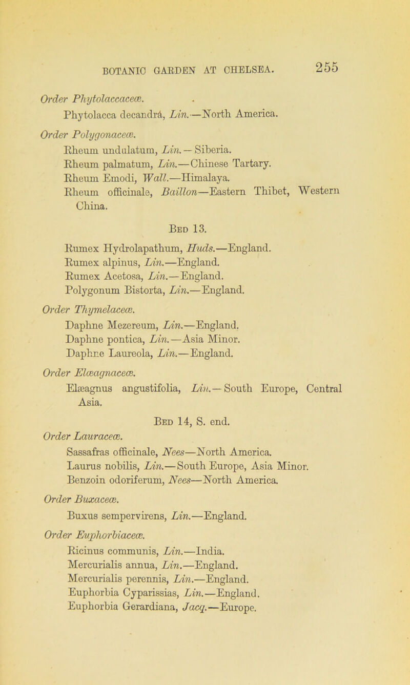 Order Phytolaccacece. Phytolacca decandrd, Lin.—North America. Order Polygonacece. Rheum undalatum, Lin. — Siberia. Rheum palmatum, Lin.—Chinese Tartary. Rheum Emodi, Wall.—Himalaya. Rheum officinale, Bciillon—Eastern Thibet, Western China. Bed 13. Rumex Hydrolapathum, Huds.—England. Rumex alpinus, Lin.—England. Rumex Acetosa, Lin.—England. Polygonum Bistorta, Lin.—England. Order Thymelacece. Daphne Mezereum, Lin.—England. Daphne pontica, Lin.—Asia Minor. Daphne Laureola, Lin.—England. Order Elceagnacece. Elaeagnus angustifolia, Liu.— South Europe, Central Asia. Bed 14, S. end. Order Lauracece. Sassafras officinale, Nees—North America. Laurus nobilis, Lin.—South Europe, Asia Minor. Benzoin odoriferum, Nees—North America. Order Buxacece. Buxus sempervirens, Lin.—England. Order Euphorbiacece. Ricinus communis, Lin.—India. Mercurialis annua, Lin.—England. Mercurialis perennis, Lin.—England. Euphorbia Cyparissias, Lin.—England. Euphorbia Gerardiana, Jacq.—Europe.