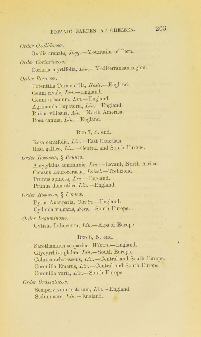 Order Oxalidacece. Oxalis crenata, Jacg.—Mountains of Ieru. Order Goriariaceie. Coriaria myrtifolia, Lin.—Mediterranean region. Order Roscicece. PotentiUa Tormentilla, Nestl— England. Geum rivale, Lin.—England. Geum urbanum, Lin.—England. Agrimonia Eupatoria, Lin.—England. Eubus villosus, Ait.—North America. Kosa canina, Lin.—England. Bed 7, S. end. Eosa centifolia, Lin.—East Caucasus. Eosa gallica, Lin.—Central and South Europe. Order Rosacea, § Pninece. Amygdalus communis, Lin.—Levant, North Africa. Cerasus Laurocerasus, Loisel.—Trebizoud. Prunus spinosa, Lin.—England. Prunus domestica, Lin. —England. Order Rosacea, § Pomece. Pyrus Aucuparia, Gcertn.—England. Cydonia vulgaris, Pers.—South Europe. Order Leguminosm. Cytisus Laburnum, Lin.—Alps of Europe. Bed 8, N. end. Sarothamnus sccparius, Wimni.—England. Glycyrrhiza glabra, Lin.—South Europe. Colutea arborescens, Lin.—Central and South Europe. Coronilla Emerus, Lin.—Central and South Europe, Coronilla varia, Lin.—South Europe. Order Crassulacece. Sempervivum tectorum, Lin. - England. Sedum acre, Lin. — England.