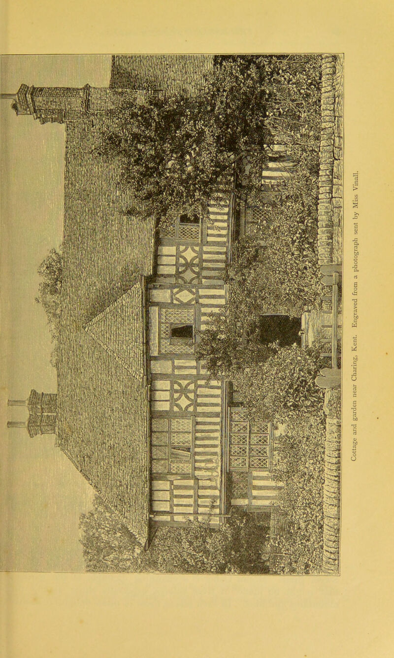 Cottage and garden near Charing, Kent. Engraved from a photograph sent by Miss Vinall.