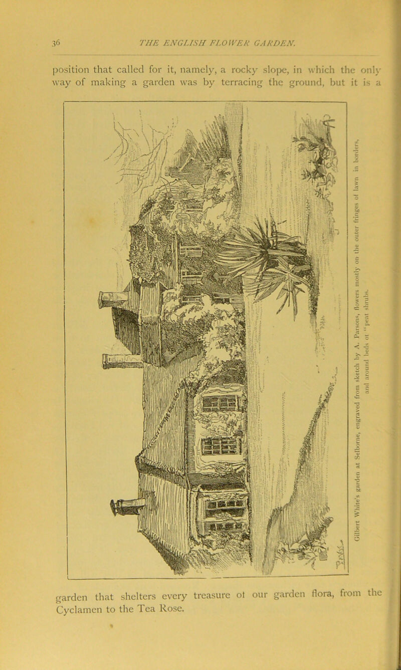 position that called for it, namely, a rocky slope, in which the only way of making a garden was by terracing the ground, but it is a garden that shelters every treasure ot our garden flora, from the Cyclamen to the Tea Rose.