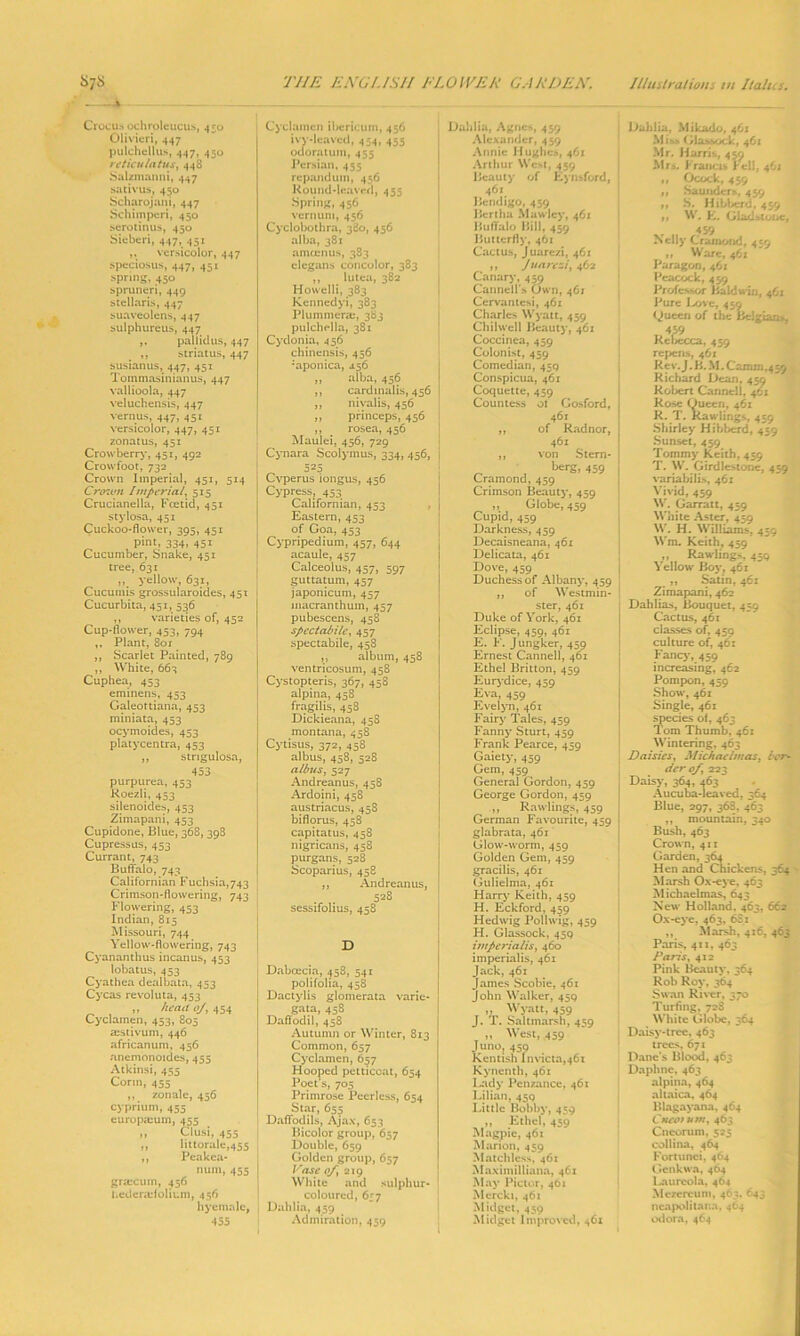 • 4 Crocus ochroleucus, 450 Olivieri, 447 pulchellus, 447, 450 reticulatus, 448 Salzmanni, 447 sativus, 450 Scharojoni, 447 Schimperi, 450 serotinus, 450 Sieberi, 447, 451 ,, versicolor, 447 speciosus, 447, 451 spring, 450 spruneri, 449 stellaris, 447 suaveolens, 447 sulphureus, 447 pallidus, 447 ,, striatus, 447 susianus, 447, 451 Toinmasinianus, 447 vallioola, 447 veluchensis, 447 vernus, 447, 451 versicolor, 447, 451 zonatus, 451 Crowberry, 451, 492 Crowfoot, 732 Crown Imperial, 451, 514 Crcnuit Imperial, 515 Crucianella, Foetid, 451 stylosa, 451 Cuckoo-flower, 395, 451 pint, 334, 451 Cucumber, Snake, 451 tree, 631 ,, yellow, 631, Cucumis grossularoides, 451 Cucurbita, 451, 536 ,, varieties of, 452 Cup-flower, 453, 794 ,, Plant, 801 ,, Scarlet Painted, 789 ,, White, 663 Cuphea, 453 eminens, 453 Galeottiana, 453 miniata, 453 ocymoides, 453 platycentra, 453 ,, strigulosa, 453 purpurea, 453 Roezli, 453 silenoides, 453 Zimapani, 453 Cupidone, Blue, 368, 398 Cupressus, 453 Currant, 743 Buffalo, 743 Californian Fuchsia,743 Crimson-flowering, 743 Flowering, 453 Indian, 815 Missouri, 744 Yellow-flowering, 743 Cyananthus incanus, 453 lobatus, 453 Cyathca dealbata, 453 Cycas revoluta, 453 ,, head of, 454 Cyclamen, 453, 805 aistivum, 446 africanum, 456 anemonoides, 455 Atkinsi, 455 Corm, 455 ,, zonale, 456 cyprium, 455 europamm, 455 „ Clusi, 455 ,, littorale,455 ,, Peakca- num, 455 graecum, 456 l.ederadolium, 456 hycmalc, 455 Cyclamen ibericum, 456 ivy-leaved, 454, 455 odoratum, 455 Persian, 455 repandum, 456 Round-leaved, 455 Spring, 456 vernum, 456 Cyclobothra, 380, 456 alba, 381 amcenus, 383 elegans concolor, 383 ,, lutea, 382 Howelli, 383 Kennedyi, 383 Plummera;, 383 pulchella, 381 Cydonia, 456 chinensis, 456 ;aponica, a.56 ,, alba, 456 ,, cardinalis, 456 ,, nivalis, 456 ,, princeps, 456 ,, rosea, 456 Maulei, 456, 729 Cynara Scolymus, 334, 456, i _ 525 Cvperus longus, 456 Cypress, 453 Californian, 453 Eastern, 453 of Goa, 453 Cypripedium, 457, 644 acaule, 457 Calceolus, 457, 597 guttatum, 457 japonicum, 457 macranthum, 457 pubescens, 458 spec tad He, 457 spectabile, 458 ,, album, 458 ventricosum, 458 Cystopteris, 367, 458 alpina, 45S fragilis, 458 Dickieana, 458 montana, 45S Cytisus, 372, 458 albus, 458, 528 a thus, 527 Andreanus, 458 Ardoini, 458 austriacus, 458 biflorus, 458 capitatus, 458 nigricans, 458 purgans, 528 Scoparius, 458 ,, Andreanus, . . 528 sessifolius, 458 D Dabcecia, 458, 541 polifolia, 458 Dactylis glomerata varie- gata, 458 Daffodil, 458 Autumn or Winter, 813 Common, 657 Cyclamen, 657 Hooped petticoat, 654 Poet's, 705 Primrose Peerless, 654 Star, 655 Daffodils, Ajax, 653 Bicolor group, 657 Double, 659 Golden group, 657 Vase of, 219 White and sulphur- coloured, 657 Dahlia, 459 Admiration, 459 Dahlia, Agnes, 459 Alexander, 459 Annie Hughes, 461 Arthur West, 459 Beauty of Eynsford, 461 Bendigo, 459 Bertha Mawley, 461 Buffalo Bill, 459 Butterfly, 46: Cactus, Juarezi, 461 ,, Juarezi, 462 Canary, 459 Canned's Own, 461 Cervantesi, 461 Charles Wyatt, 459 Chilwel! Beauty, 461 Coccinea, 459 Colonist, 459 Comedian, 459 Conspicua, 461 Coquette, 459 Countess ol Gosford, 461 ,, of Radnor, 461 ,, von Stern- berg, 459 Cramond, 459 Crimson Beauty, 459 ,, Globe, 459 Cupid, 459 Darkness, 459 Decaisneana, 461 Delicata, 461 Dove, 459 Duchess of Albany, 459 ,, of Westmin- ster, 461 Duke of York, 461 Eclipse, 459, 461 E. F. Jungker, 459 Ernest Canned, 461 Ethel Britton, 459 Eurydice, 459 Eva, 459 Evelyn, 461 Fairy Tales, 459 Fanny Sturt, 459 Frank Pearce, 459 Gaiety, 459 Gem, 459 General Gordon, 459 George Gordon, 459 .,, Rawlings, 459 German Favourite, 459 glabrata, 461 Glow-worm, 459 Golden Gem, 459 gracilis, 461 Gulielma, 461 Harry Keith, 459 H. Eckford, 459 Hedwig Polhvig, 459 H. Glassock, 459 imperial is, 460 imperialis, 461 Jack, 461 James Scobie, 461 John Walker, 45Q ,, Wyatt, 439 J. T. Saltmarsh, 459 „ West, 459 Juno, 450 Kentish Invicta,46i Kynenth, 461 Lady Penzance, 461 Lilian, 45Q Little Bobby, 459 ,, Ethel, 459 Magpie, 461 Marion, 459 Matchless, 461 Maximilliana, 461 May Pieter, 461 Mercki, 461 Midget, 459 Midget Improved, 461 Dahlia, Mikado, 461 Miss Glassock, 461 Mr. Harris, 459 Mrs. Francis hell, 4C.J „ Ocock, 459 ,, Saunders, 459 ,, S. Hibberd, 459 ,, W. E. Gladstone, 459 Nelly Cramond, 419 f t Ware, 461 Paragon, 461 Peacock, 459 Professor Baldwin, 46j Pure Love, 459 Queen of the Belgians, 459 Rebecca, 459 repens, 461 Rev.J.B.M.Camm,459 Richard Dean, 459 Robert Canned, 461 Rose Queen, 461 R. T. Kawlings, 459 Shirley Hibberd, 459 Sunset, 459 Tommy Keith, 459 T. W. Girdlestone, 459 variabilis, 461 Vivid, 459 W. Gamut, 459 White Aster, 459 W. H. Williams, 459 Wm. Keith, 459 „ Rawling^ 439 Yellow Boy, 461 ,, Satin, 461 Zimapani, 462 Dahlias, Bouquet, 439 Cactus, 461 classes of, 459 culture of, 461 Fancy, 459 increasing, 462 Pompon, 459 Show, 461 Single, 461 species of, 463 Tom Thumb. 461 Wintering. 463 Daisies, Michaelmas, Lar- der of 223 Daisy, 364, 463 Aucuba-leaved, 364 Blue, 297, 368, 463 ,, mountain, 340 Bush, 463 Crown, 411 Garden, 364 Hen and Chickens, 364 Marsh Ox-eye, 463 Michaelmas, 643 New Holland. 463, 662 Ox-eye, 463, 6S1 ,, Marsh, 416, 463 Paris, 411, 463 Paris, 412 Pink Beauty, 364 Rob Roy, 364 Swan River. 370 Turfing, 72S White Globe, 364 Daisy-tree, 463 trees, 671 Dane’s Blood, 463 Daphne. 463 alpina, 464 altaica, 464 Blagayana, 464 Cueotum, 463 Cncorum, 525 collina, 464 Fortunci, 464 Genkwa, 464 Laurcola, 464 Mczereum, 463. 643 ncapolitana, 464 odora, 464