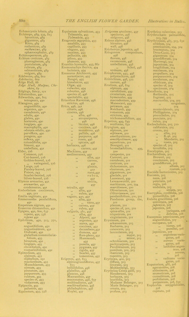 Echmocystis lobata, 489 Kchinops, 489, 535, 823 banaticus, 489 gfeanteus, 489 Ritro, 489 ruthenicus, 489 ruthenicus, 489 sphmrocephalus, 489 Echinospermum, 489 Echium creticum, 489 plantagineum, 489 pustulatum, 489 rubrura, 489 salmanticum, 489 vulgare, 489 Edelweiss, 489, 602 Edelweiss, 602 Edge Hall, 66 Edge Hall Malp as, Che- shire., 67 Edgings, fancy, 271 Edraianthus, 490 Edwardsia, 490, 805 tetraptera, 490 Elasagnus, 490 angustifolia, 490 argentea, 490 canadensis, 490 edulis, 490 glabra, 490 hortensis, 490 longipes, 490 macrophylla, 490 odorata edulis, 490 parviflora, 490 pungens, 490 reflexa? 490 rotundifolia, 490 Simoni, 491 umbellata, 491 Elder, 776 Common, 776 Cut-leaved, 776 Golden-leaved, 776 ,, variegated, 776 Large, 776 Parsley-leaved, 776 Poison, 743 Scarlet-berried, 776 Silver-leaved, 776 Elymus arenarius, 491 arenarius, 491 condensatus, 491 Embothrium coccineum, 492, 511 Emilia sagittata, 492 Emmenanthe penduliflora, 492 Empetrum nigrum, 492 Eomecon chionanthus, 492 Epigma, 492, 600, 637 repens, 492, 536 repens 492 Epilobium, 492, 513, 771, 862 angustifolium, 492 angustissimum, 492 Dodonaei, 492 glabellum nummulariae- folium, 493 hirsutum, 492 longipes, 493 obcordatum, 492 _ rosmarinifolium, 492 Epimedium, 493 alpinum, 493 diphyllum, 291 macranthum, 493 Musschianum, 493 niveum, 493 pinnatum, 495 purpurcum, 493 rubrum, 493 species of, 493 violaceum, 493 Epipactis, 493 palustris, 493 Equisetum, 493, 558 Equisetum sylvaticum, 493 Telmateia, 493 Telmateia, 493 Eragrostis tegyptica, 493 ainabilis, 493 capillaris, 493 elegans, 493 maxima, 493 pellucida, 493 pilosa, 493 plumosa, 493 Eranthis hyemalis, 493, 862 Eremostachys iberica, 494 laciniata, 494 Eremurus Aitchisoni, 495 aurantiacus, 495 Bungei, 495 himalaicus, 495 Olga;, 495 robustus, 494 robustus, 496 species of, 496 spectabilis, 495 Erianthus Ravennae, 496 strictus, 496 Erica, 496, 541 ciliaris, 496 cinerea, 496 ,, alba, 496 ,, atropurpurea, . 496 ,, bicolor, 496 ,, coccinea, 496 ,, monstrosa, 496 ,, pallida, 496 ,, purpurea, 496 ,, rosea, 496 ,, spicata, 496 herbacea, 496 ,, carnea, 497 Mackiana, 497 mediterranea, 407 ,, alba, 497 ,, carnea, 497 yf glauca, 427 „ nana,497 ,, rubra, 497 ,, stncta, 497 tetralix, 407 ,, alba, 497 ,, rubra, 497 vagans, 440, 497 ,, alba, 497 „ „ nana, 497 ,, carnea, 497 ,, rubra, 497 vulgaris, 381, 497 „ alba, 497 „ Alport!, 497 „ argentea, 497 ,, aurea, 497 ,, coccinea, 497 ,, decumbens,497 ,, dumosa, 497 ,, flore-pleno, 497 ,, Hammondi, 497 ,, pumila, 497 „ py^maca, 497 „ ngida, 497 ,, Searlei, 497 ,, tomentosa, 497 Erigeron, 497, 813 alpinusgrandiflorus, 497 813. bellidifolius, 498 glabellus, 498 glaucus, 498 Macranthus, 497 mucronatus, 498, 857 multiradiatus, 498 multiradiatus, 498 philadephicus, 498 Roylei, 497 Erigeron speciosus, 497 speciosus, 498 strigosus, 498 Erinus alpinus, 498 hirsutum. 498 wall, 498 Erjobotrya japonica, 498 Eriogonum compositum, 498 flavum, 498 raccmosum, 498 umbellatum, 408 „ Scleri, 498 ursinum, 498 Eriophorum, 445, 498 polystachyon, 498 Eritrichium, 498, 511 nanum, 498 Erodium, 498, 814 alpinum, 499 camifolium, 499 cicutarium, 499 hymenodes, 499 macradenium, 499 Manescavi, 499 petraeum, 499 Reichardi, 499 romanum, 499 strictum, 499 trichomanefolium, 499 Erpetion, 499, 849 reniforme, 852 Eryngium, 499 alpinum, 500 alpinum, 502 amethystinum, 500 a me thy stin u m, 499 aquaticum, 501 Bourgati, 501 bromeliaefolium, 499, 500 campestre, 501 Carrerei, 501 cceruleum, 501 creticum, 501 dichotomum, 501 eburneum, 500 giganteum, 500 glaciale, 501 Lasseauxi, 499 Leveanworthi, 502 maritimum, 500, 794 maritimum, 500 Oliverianum, 501 Oliverianum, 501 pandanifolium, 500, 501 Pandanus group, the, 501 planum, 501 species of, 501, 502 spina-alba, 501 triquetrum, 501 virginianum, 501 Erysimum, 502 arkansanum, 503 Barbarea, 503 canescens, 503 lanceolatum, 503 „ major, 503 ,, minor, 503 ochroleucum, 502 pachycarpum, 503 Perofskianum, 503 pumilum, 502, 503 rhaeticum, 503 rupestre, 503 Erythraea, 402, 503 diffusa, 503 littoralis, 503 Muhlenbcrgi, 503 Erythrina Crista galli, 503 Hendersoni, 503 herbacea, 503 laurifolia, 503 Madame Belanger, 503 Marie Belanger, 503 ornata, 503 profusa, 503 Erythrina ruberrima, 503 Ery throe harie palmatihda, T, . 503., 799 Erythronium, 485, 503, 852 albidum, 504 americanum, 2Q4, 504 bracteatufn, 504 Denm-Canim, 503 giganteum 504 grandiflorum, 504 Hartwegi, 504 japonicum, 504 longifolium, 504 maximum, 504 propullans, 504 purpurascens, 504 revolutum, 504 sibiricum, 504 species of, 504 speciosum, 504 Escallonia, 504 floribunda, 505 Ingrami, 505 macrantha. 504, 503 „ sanguines, montevidensis, 505 Phillippiana, 504 pterocladon, 505 punctata, 505 rubra, 504 Eschscholfcda, 505, 710 californica, 505 crocea, 505 „ alba, 505 „ fl.-pl. 505 „ Mandarin, 505 ,, rosea, 505 species of, 505 tenuifolia, 505 Eucalyptus, 505 Eucharidium, 505 Breweri, 505 concinnum, 505 grandiflorum, 505 ,, album, 505 roseum, 505 Eucnide bartonioides, 505 Eucomis, 505 nana, 506 punctata. 506 regia, 506 undulata, 503 ,, striata, 505 Eucryphia, cordifolia, 506 pinnatifolia, 506 Eulalia gracillima, 506 univittata, 506 japonica, 507 japionica, 506 „ %-ariegata, 506 ,, Zebrina, 506 Euonymus americanus, 507 angustifolius, 507 europseus, 506 ,, nanus, 506 ,, pumilus, 506 japonicus, 507 ,, argenteus varie- gatus, 50S „ aureus varie- gatus, 508 ,, latifolius argen- teus, 508 „ „ aureus, 50S # „ radicans vane- gatus, 50S Eupatorium, 4SS, 50S ageratoides, 508 altissimum, 508 aromaticum, 50S cannabinum, 50S perfoliatum, 50S purpurcum, 508, 832 Euphorbia amygdaloides, 508 capitata, 508