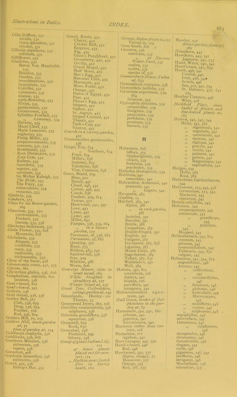 INDEX. Gilia liniflora, ^31 nivalis, 531' rosea splendens, 531 tricolor, 531 Gillenia stipulacea, 532 irifoliata, 531 Gilliflower, 532 Gladiolus, 532 Baron Von Humboldt 535. Beatrice, 53c blandus, 533 brenchleyensis, 532 byzantinus, 535 Colvillei, 532 communis, 333 disease, 535. early-flowering, 533 Elvira, 535 gandavensis, 532 G root voorst, 535 hybridus Froebeli, 535 ,, Lemoinci, 334 illyricus, 535 Maori Chief, 535 Marie Lemoinei, 535 neglectus, 535 Pnilip Miller, 535 purpureo-auratus, 535 ramosus, 532, 333 Rembrandt, 535 Rose Distinctive, 535 Rosy Gem, 532 Rubens, 535 Saundersi, 535 segetus, 535 serotinus, 535 Sir Walter Raleigh, 535 The Bride. 533 The Fairy, 535 trimaculatus, 534 venustus, 533 Gladwin, 535 Gladtvin, 575 Glass for the flower-garden, 269 Glaucium, 535, 710 corniculatum, 535 Fischeri, 535 luteum, 535, 558 Glechoma hederacea, 535 Globe Flower, 535, 828 Mountain, 828 Globularia, 535 Alypum, 535 cordifolia, 535 °ana, 535 nudicaulis, 535 trichosantha, 535 Glory of the Snow, 408 Glossocomia ovata, 431, 535 Glycine, 861 CJlycirrhiza glabra, 536, 616 Gnaphalium, alpinum, 602 1 lanatum, 536 Goat’s-beard, 807 Goat's-beard, 343 Godetia, 536 Gold thread, 436, 536 Golden Bell, 51V Club, 536, 679 ^roP> 536, 674 reather, 728 Rod, 536, 804 Golders Hill, 70, 255 (ro/ders Hilly lawn garden at, 71 plan of garden at, 254 Goldfussia isophylla, 536 Goldilocks, 536, 616 Gooclyera Menziesi, 536 pubescens, 536 repens, 536 Goosetoot, 408 , Gordonia lasianthus, 536 pubescens, 536 Gourd, 451, 536 Bishop s Hat, 452 Gourd, Bottle, 432 Cherry, 4S= Cricket Ball, 452 Empress, 452 £;s. 452 Giant s Punchbowl, 452 Gooseberry, 45,, 452 Gorilla, 452 Grand Mogul, 452 Half Moon, 452 Hen’s Egg, 452 Hercules Club, 452 Mammoth, 452 Mons. Fould, 452 Orange, 452 Pasha of Egypt, 452 Pear, 452 Plover s Egg, +53 Serpent, 432 Siphon, 452 St. Aignon, 452 Striped Custard, 432 Thumb, 452 Turk's Cap, 452 Viceroy, 452 Gourds m a .$ urrcy garden, „ 452 Grammanthes gentianoides, _ 536 Grape, Fox, 854 „ Southern, 854 Frost, 854 Millers, 856 Summer, 853 Teinturier, 856 Vine, Common, 856 Grass, Beard, 709 Blue, 510 Bunch, 49T Cloud, 298, 431 Cotton, 498, 443 Couch, 836 Feather, 509, 814 Fescue, 510 Hare's-tail, 541, 597 Love, 493 Lyme, 491 Lyme, 491 Millet, 643 Pampas, 536, 539, 684 ,, in a Sussex garden, 170 Parnassus, of, 536, 687 Parnassus, of.\ 687 Quaking, 371 Reed, 735 Ribbon, 483, 742 Squirrel-tail, 558 Star, 309 Whitlow, 486 Worm, 806 Gravetye Manor, view in moat mead, 165 White Foxglove in shrubbery at, 117 l Fin ter Sweet at, 237 Great Tew, Oxfordshire, cottage garden at, 249 Grcenlands, Henley - on- Thames, 33 Greenweed Dyers, the, 528 Grevillea rosmarinifolia, 536 sulphurea, 536 Grindelia grandiflora, 536 squarrosa, 536 Grom well, 629 Rock, 630 Groundsel, 798 Piedmont, 799 Silvery, 798 Group of giant Indian Lily, 101 oj house plants placed out for sum- mcr, 174 ,, Mullein,near,Scotch Firs in Surrey heath, 160 Groups, Alpine plants in, 153 Yuccas in, 174 Gum Seseli, 806 Gunnera. 536 manicata, 537 >> at Narrow Water Park, 537 scabra, 537 scabra, 537 species of, 538 Gunnersbury House, Yulan at, 633 Gymnadenia conopsea, 538 Gymnothrix latifolia, 539 Gynerium argenteum, 539, 684 jubatum, 539 Gypsophila altissima, 539 cerastioides, 539 fastigiata, 539 paniculata, 539 perfoliata, 539 prostrata, 539 Steveni, 539 H Habenaria, 676 biflora, 375 blephariglottis, 539 ciliaris, 539 fimbriata, 539 psychodes, 539 Haberlea rhodopensis, 539 Hablitzia, 540 tamnoides, 540 Habranthus Andersoni, 540 pratensis, 540 „ fulgens, 540 Hacquetia, 485 Itaddon, 15 Hairbell, 385, 540 Alpine, 386 ,, in rock ga rden, . 388 Austrian, 391 Bearded, 391 Brittle, 386 Carpathian, 387 Double-fringed, 392 English, 391 Gargano, 387 Ivy-leaved, 587, 858 Ligurian, 387 Mount Cenis, 386 Sage-leaved, 389 Tufted, 387, 857 Waldstein’s, 392 Wall, 389 Halesia, 540, 803 corymbosa, 726 diptera, 540 hispida, 726 parviflora, 540 tetraptera, 540 Halimondrendron agen- teum, 540 Hall Green, border of Del- phiniums in the gar- den at, 87 Hamamelis, 540, 541, 862 arborea, 540 japonica, 540 Zuccariniana, 540 Harmony rather than con- trast, 228 Harpalium, 711 rigidum, 541 Hart’s-tongue, 541, 792 Hawk’s-beard, 446 Red, 446 Hawk weed, 541, 557 Alpine, shaggy, 55 Mouse-ear, 557 Orange, 557 Red, 368, 735 SS3 1 Hawley, e57 flmuergarden, plans of, 26l Hawthorn, 445 Hawthorn, 445, 541 H J,aPw-e^ 54I> 735 Hazel Witch, 540, 541 Heart s-ease, 54t, 849 Heath, 496, 541 Cornish, 440 Irish, 458, 542. Scotch, 496 541,794 •St. Daboecs, 458, 641 „ . 774 Heather Common, 406 Whin, 528 //eckfield Place, stone basket of flowers and fine-leaved plants at, i85 Iledera 54!, 543, -44 Helix, 541, 587 n algeriensis, 542 ,, angularis, 542 ,, canariensis, 542 ,, dentata, 542 >) digitata, 542 ,, gracilis, 542 ,, lucida, 542 ,, palmata, 542 ,, pedata, 542 ,, Rfegneriana, 542 ,, sagittfefolia, 542 Hedges, 239 Holly, 567 Rose, 767 Hedychiuin Gardnerianum, 544 Hedysarum, 5i3, 545, 358 coronanum, 5i3, 545 -Mackenzi, 545 obscurum, 545 Heimia salicifolia, 545 Helenium, 545 atropurptireum, 545 autumnale, 545 ,, grandiceps, 545 ,, pumiluin, 545 Hoopesi, 545 Helianthemum, 545, 813 croceum, 545 pilosum, 545 rosmarinifolium, 545 Tuberaria, 545, 83i vulgare, 555 Helianthus, 541, 544, 815 angustifolius, 546 Annuus, 547 ,, californicus, 547 „ cucumerifolius, 54s ,, nstulosus, 54S ,, globosus, 548 ,, lenticularis, 547 ,, Macrocarpus, 547 ,, multiflorus, 54S ,, ovatus, 547 ,, sulphureus, 548 , argophyllus, 548 atro-rubens, 547 Dammanni, 548 ,, sulphureus, 548 decapetaltis, 546 divaricatus, 546 doronicoides, 546 elegans, 547 exilis, 548 giganteus, 546, 547 la;tiflorus, 546 hevigatus, 546 Maxim iliani, 546 missuricus, 5^7