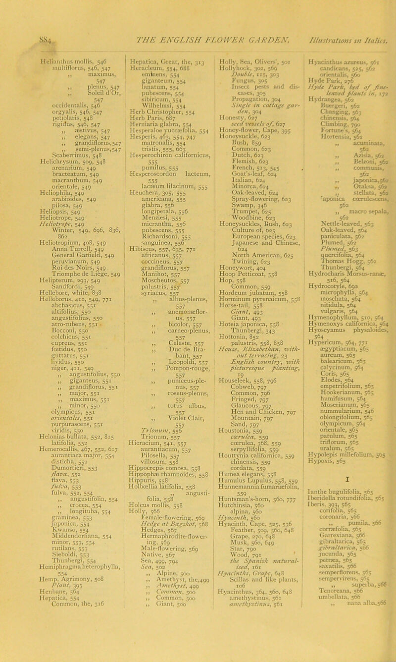 Heluinthus mollis, 546 multiflorus, 546, 547 ,, maxim us, 547 ,, plenus, 547 ,, Soleil d'Or, . 547 occidentaus, 546 orgyalis, 546, 547 petiolaris, 548 rigidus, 546, 547 ,, sestivus, 547 ,, elegans, 547 ,, grandiflorus,547 ,, semi-plenus,547 Scaberrimus, 548 Helichrysum, 509, 548 arenarium, 549 bracteatum, 549 macranthum, 549 orientale, 549 Heliophila, 549 arabioides, 549 pilosa, 549 Heliopsis, 549 Heliotrope, 549 Heliotrope, 549 Winter, 549, 696, 836, 862 Heliotropium, 408, 549 Anna Turrell, 549 General Garfield, 549 | peruvianum, 549 Roi des Noirs, 549 Triomphe de Liege, 549 Helipterum, 293,' 549 Sandfordi, 549 Hellebore, white, 838 Helleborus, 411, 549, 771 abchasicus, 551 altifolius, 550 angustifolius, 550 atro-rubens, 551 • Bocconi, 550 colchicus, 551 cupreus, 551 feetidus, 550 guttatus, 55t lividus, 550 niger, 411, 549 # ,, angustifolius, 550 ,, giganteus, 551 ,, grandiflorus, 551 „ major, 551 ,, maximus, 551 ,, minor, 550 olympicus, 551 orientails, 551 purpurascens, 551 viridis, 550 Helonias bullata, 552, 815 latifolia, 552 Hemerocallis, 467, 552, 617 aurantiaca major, 554 disticha, 552 Dumortieri, 553 /Java, 552 fiava, 553 fnlva, 553 fulva, 552, 554 ,, angustifolia, 554 ,, crocea, 554 ,, longituba, 554 graminea, 553 japonica, 554 Kwanso, 554 Middendorfiana, 554 minor, 553, 554 rutilans, 553 Sieboldi, 553 Thunbergi, 554 Hemiphragma heterophylla, 554 . Hemp, Agrimony, 508 Plant, 395 Henbane, 564 Hepatica, 554 Common, the, 316 Hepatica, Great, the, 313 Heracleum, 554, 688 emlnens, 554 giganteum, 554 lanatum, 554 pubescens, 554 sibiricum, 554 Wilhelmsi, 554 Herb Christopher, 554 Herb Paris, 687 Hemiaria glabra, 554 Hesperaloe yuccaefoha, 554 Hesperis, 463, 554, 747 matronalis, 554 tristis, 555, 663 Hesperochiron californicus, 555 pumilus, 555 Hesperoscordon lacteum, 555 iM . lacteum hlacinum, 555 Heuchera, 305, 555 ainericana, 555 glabra, 556 longipetala, 556 Menziesi, 555 micrantha, 556 pubescens, 555 Richardsoni, 555 sanguinea, 556 Hibiscus, 557, 635, 771 africanus, 557 coccineus, 557 grandiflorus, 557 Manihot, 557 Moscheutos, 557 palustris, 557 syriacus, 557 ,, albus-plenus, 557 ,, anemonaeflor- . us, 557 ,, bicolor, 557 ,, carneo-plenus, 557 ,, Celeste, 557 ,, Due de Bra- bant, 557 ,, Leopoldi, 557 ,, Pompon-rouge, 557 ,, puniceus-ple- nus, 557 ,, roseus-plenus, 557 ,, totus albus, ,, Violet Clair, Trionum, 556 Trionum, 557 Hieracium, 541, 557 aurantiacurn, 557 Pilosella, 557 villosum, 558 Hippocrepis comosa, 558 Hippopha; rhamnoides, 558 Hippuris, 558 Holbcellia latifolia, 558 „ angusti- folia, 558 Holcus mollis, 558 Holly, 566 Female-flowering, 569 Hedge at Hags hot, 568 Hedges, 567 Hermaphrodite-flower- ing, 569 Male-flowering, 569 Native, 567 Sea, 499, 794 Sea, 502 ,, Alpine, 500 ,, Amethyst, the,499 ,, Amethyst, 499 ,, Common, 500 ,, Common, 500 ,, Giant, 500 Holly. Hea, Olivers’, 501 Hollyhock, 302, 56$ Double, 115, 303 Fungus, 305 Insect pests and dis- eases, 305 Propagation, 304 Single in cottage gar- den, 304 Honesty, 627 seed vessels of, 627 Honey-flower, Cape, 395 Honeysuckle, 623 Busb, 859 Common, 623 Dutch, 623 Flemish, 623 French, 513, 545 Goat's-leaf, 624 Italian, 624 Minorca, 624 Oak-leaved, 624 Spray-flowering, 623 Swamp, 346 Trumpet, 625 Woodbine, 623 Honeysuckles, Bush, 623 Culture of, 025 European species, 623 | Japanese and Chinese, 624 North American, 625 Twining, 623 Honey wort, 404 Hoop Petticoat, 558 Hop, 558 Common, 559 Hordeum jubatum, 558 Horminum pyrenaicum, 558 Horse-tail, 558 Giant, 493 Giant, 493 Hoteia japonica, 558 Thunbergi, 343 Hottonia, 852 palustris, 558, 858 House, Elizabethan, with- out terracing, 23 English country, with pictu7-esque planting, : 1 x9 Houseleek, 558, 796 Cobweb, 797 Common, 796 Fringed, 797 Glaucous, 707 Hen and Chicken, 797 Mountain, 797 Sand,797 Houstonia, 559 caru/ea, 559 ccerulea, 368, 559 serpyllifolia, 559 Houttynia californica, 559 chinensis, 559 cordata, 559 Humea elegans, 558 Humulus Lupulus, 558, 559 Hunncmannia fumarkefolia, 559 , Huntsman’s-horn, 560, 777 Hutchinsia, 560 alpina, 560 Hyacinth, 560 Hyacinth, Cape, 525. 536 Feather, 509, 560, 648 ] Grape, 270, 648 Musk, 560, 649 Star, 700 Wood, 791 the Spanish natural- ised, 161 Hyacinths, Grape. 64S Scillas and like plants. 106 Hyacinthus, 364, 560, 64S amethystmus, 561 amethystinus, 561 Hyacinthus azureus, 561 candicans, 525, 562 oriental is, 56© Hyde Park, 276 Hyde l*ark, bed of fine- leaved plants in, 172 Hydrangea, 562 Buergeri, 562 Changing, 563 chinensis, 564 Climbing, 75© Fortune's, 564 Hortensia, 562 ,, acuminata, 562 „ Azisia, 562 ,, BeUoni, 562 ,, communis, 562 ,, japonica, 562 ,, Otaksa, 562 ,; stellata, 562 •'aponica ccerulescens, 56* ,, macro sepala, 562 Nettle-leaved, 563 Oak-leaved, 564 paniculata, 562 Plumed, 562 Plumed, 563 quercifolia, 564 Thomas Hogg, 562 Thunbergi, 564 Hydrocharis Morsus-ranas, 516, 564 Hydrocotyle, 692 microphylla, 564 inoschata, 564 nitidula, 564 vulgaris, 564 Hymenophyllum, 510, 564 Hymenoxys californica, 564 Hyoscyamus physaloide>. 564 . Hypericum, 564, 771 aegyptiacum, 565 aureum, 565 balearicum, 565 calycinum, 564 Coris, 565 Elodes, 564 empetrifolium, 565 Hookerianum, 565 humifusum, 564 Moserianura, 565 nummularium, 546 oblongifolium, 565 olympicum, 564 orientale, 565 patulum, 565 triflorum, 565 tiralum, 565 Hypolepis millefolium, 505 Hypoxis, 565 I I an the bugulifolia, 565 Iberidella rotundifolia, 565 Iberis, 393, 565 confolia, 565 coronaria, 566 „ pumila, 566 corra:folia, 565 Garrcxiana, 566 gibraltarica, 565 gibraltarica, 566 jucunda, 565 petraca, 565 saxatilis, 566 semperflorens, 565 sempenirens, 565 „ superha, 566 Tcnorcana, 566 uml>ellata, 566 ,, nana alba,s66