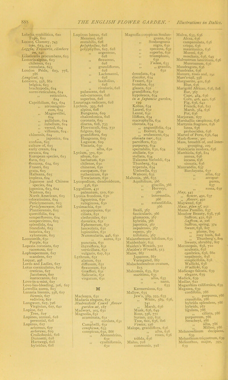 sss THE ENGLISH FLOWER GARDEN. ' Illustrations in Italics. Lobelia syphilitica, 620 Tupa, 622 Locust, Clammy, 745 tree, 623, 745 Loggia, Tressetve, climbers on, 141 Loiseleuria procumbens, 623 Lomariaalpina, 623 chilensis, 623 crenulata, 623 London Pride, 623, 778, 786 Longleat, 19 Lon ice r a, 558, 862 belgica, 623 brachypoda, 624 aureo-reticulata, 624 „ reticulata, 624 Caprifolium, 623, 624 ,, atrosanguin- eum, 624 ,, Magnevillei, 624 ,, pallidum, 624 ,, rubellum, 624 ,, vernal, 624 ,, _ villosum, 624 . chinensis, 624 ,, japonica, 624 confusa, 625 culture of, 625 early cream, 624 etrusca, 624 European species, 623 flava, 625 fiexuosa, 624, 625 Fraseri, 625 grata, 625 Halleana, 625 implexa, 624 Japanese and Chinese species, 624 japonica, 623, 624 Nintooa, 623 North American, 625 odoratissima, 624 Periclymenum, 623 Periclymetium, 626 Plantierensis, 625 quercifolia, 624 semperflorens, 624 sempervirens, 625 splendida, 624 Standishi, 623 tatarica, 623 xylosteum, 623 Loosestrife, 630 Purple, 631 Lopezia coronata, 627 racemosa, 627 Lophospermum, 627 scandens, 627 Loquat, 498 Lords and Ladies, 627 Lotus corniculatus, 627 creticus, 627 Jacobaeus, 627 maroccanus, 627 Love-in-a-mist, 627 Love-lies-bleeding, 306, 627 Lowellia aurea, 823 Lunaria biennis, 558, 627 biennis, 627 rediviva, 627 Lungwort, 627, 726 Virginian, 627, 642 Lupine, 627 Tree, 627 Lupines, annual, 628 perennial, 628 Lupinus, 627 arboreus, 627 arborcus, 629 Cruikshanki, 628 Dunnetti, 628 Hartwegi, 628 hybridus, 628 Lupinus lutcus, 628 Menziesi, 628 mutabilis, 628 polyphyllus, 628 polyphyllus, 627, 628 ,, argcnteus, 628 ,, flexuosus, 628 ,, grandiflorus, 628 ,, Lachmanni, 628 ,, laxifolius, 628 ,, rivularis, 628 pubescens, 628 sub-carnosus, 628 superbus, 628 Luzuriaga radicans, 628 Lychnis, 393, 628 alpina, 628 Bungeana, 629 chalcedonica, 628 coronata, 629 diurna, 628, 735 Flos-cuculi, 629, 732 fulgens, 629 grandiflora, 629 Haageana, 629 Lagascae, 629 Viscaria, 630 ,, alba, 630 Lycium, 370, 630 afrum, 630 barbatum, 630 chilense, 630 chinense, 630 europasum, 630 ruthenicum, 630 Trewianum, 630 Lycopodium, dendroideum, 5367 63° Lygodium, 431 palmatum, 510, 630 Lyonia frondosa, 630 ligustrina, 630 rubiginosa, 630 Lysimachia, 630 atropurpurea, 631 ciliata, 631 clethroides, 631 davurica, 631 Ephemerum, 631 lanceolata, 631 lupinoides, 631 Nummularia, 446, 630 „ aurea, 631 punctata, 631 thyrsifiora, 631 verticillata, 631 vulgaris, 627, 631 Lythrum, 631 alatum, 631 diffusum, 631 flexuosum, 631 Graefferi, 631 Salicaria, 631 virgatum, 631 M Macleaya, 631 Madaria elegans, 631 11 ad resfield Court Jioioer garden at, 187 Madwort, 305, 631 Magnolia, 631 acuminata, 631 ,, cordata, 631 Campbelli, 631 conspicua, 633 conspicua, 632, 866 ,, Alexandrina, 632 ,, cyathiforniis, 632 Magnolia conspicua Soulan- gcana, 632 ,, Soulangeana niljjra, 632 ,, speciosa, 632 ,, superba, 632 ,, triumphans, 632 ,, Yu tan, 633 ,, «> grand i>, 632 denudata, 634 discolor, 634 Fraseri, 632 frondosa, 635 glauca, 632 grandiflora, 632 hypoleuca, 634 in a Japanese garden, 129 Kobus, 634 Laurel, 632 Lenn6, 632 liliflora, 634 macrophylla, 634 obovata, 634 ,, angustifolia, 634 ,, Borreri, 634 ,, erubescens, 634 obovata var., 635 parviflora, 635 purpurea, 634 spectabilis, 632, 634 stellata, 632 stellata, 634 Talauma Sieboldi, 634 Thunberg, 634 tripetala, 634 Umbrella, 635 Watson i, 635 Mahonia, 366, 635 Aquifolium, 366 ,, gracilis, 366 ,, Herveyi, 366 ,, intermedia, 366 ,, rotundifolia, 366 Beali, 367 fascicularis, 366 glumacea, 367 hybrida, 366 japonica, 367 nepalensis, 367 repens, 367 trifoliata, 367 Maianthemum bifolium, 635 Maidenhair, 635 Maiden's Wreath, 512 Maidens Wreath, 513 Maize, 867 Japanese, 867 Variegated, 867 Malachodendron ovatum, 815 Malcomia, 635, 852 maritima, 635 „ alba, 635 „ „ nana, 635 Kermersiana, 635 Mallow, 635 Jew’s, 589, 593, 635 ,, White, 589, 636, ,, Marsh, 636 Musk, 636, 649 Rose, 556, 771 Syrian, 557, 635 Tree, 601, 636, 826 Venice, 556 Malope, grandiflora, 636 ,, alba, 636 „ rosea, 636 trifida, 636 Malus, 728 communis, 72S Malva, 635, 636 Alcea, 636 c.'impanulata, 636 crispa, 636 mauritanica, 636 Moreni, 636 moschata, 636, 649 Malvastrum lateritiuin, 636 Munroanum, 636 Mandragora, 636 Mandrake, 636 Manure, roses arid, 191 Mare's-tail, 558 Marguerite, 411, 636 Blue, 636 Marigold African, 636, 816 Bur, 367 Cape, 484, 636 Corn, 416, 440, 636 Fig, 636, 642 French, 636, 817 Marsh, 384, 636 Pot, 636 Marjoram, 677 Marshallia cae>pitosa, 636 Martynia fragrans, 636 lutea, 636 proboscidea, 636 Marvel of Peru, 636, 644 Mask-flower, 300 Mass, breadth of, and inter- grouping, 220 Matricaria inodora, 636 Matthiola, 636, 814 annua, 636 incana, 636 sinuata, 636 Maurandia, 637 Barclayana, 637 „ alba, 637 ,, atropur- purea, 637 „ rosea, 637 May, 445 ,, flower, 492, 637 „ ffoiver, 492 Mayweed, 636 Meadow Beauty, 638, 736 Saffron, 431, 638 Saffron, a, 226 Saffron, spring, 374 Sweet, 638, 807 ,, plume, 809 ,, rosy bush, 80S ,, Thunberg's, 809 Sweets, shrubby, 807 Meconopsis, 63S, 710 aculeata, 63S cpmbrica, 63S, S60 nepalensis. 63S simplicifolia. 03S Wallichi, 638 / alii chi, 639 Medicago falcata, 639 elegans, 639 Medick, 639 Medlar, 612 Megarrhiza califomica, 630 Megasca, 639 cordifolia, 786 ,, purpurea, 7S6 crassifolia, 786 hybrida splendens, 7S6 hybrids, 787 ligulata, 786 „ ciliata, 7S6 purpureum, 786 Stracheyi, 786 „ alba, 786 Millesi, 786 Melanoselinum decipicns, 630 Melanthium triquetrum, 639 Melianthus, major, 395, 639
