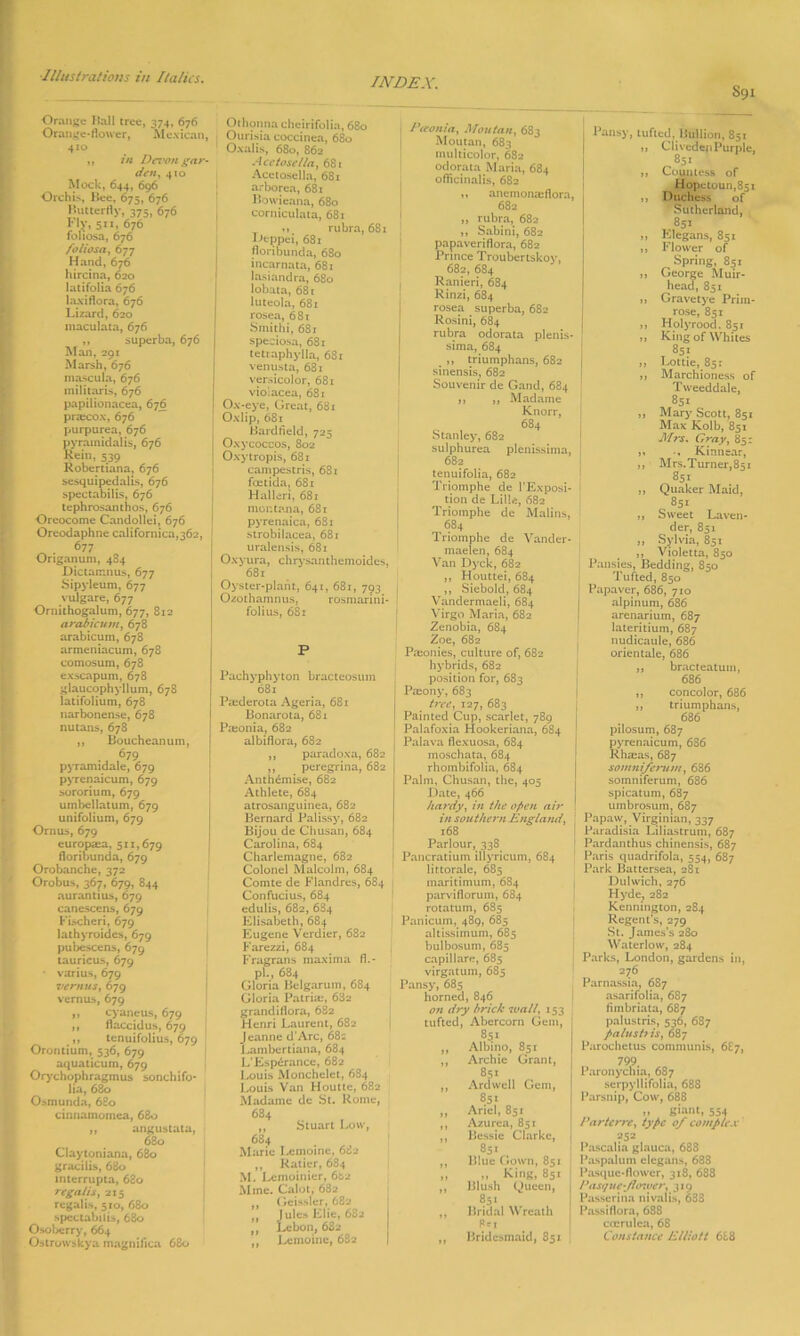 Orange Hall tree, 374, 676 Orange-flower, Mexican, 410 ,, in Devon gar- den, 410 Mock, 644, 696 Orchis, Bee, 675, 676 Butterfly, 375, 676 Fly, 511, 676 foliosa, 676 foliosa, 677 Hand, 676 hircina, 620 latifolia 676 laxiflora, 676 Lizard, 620 maculata, 676 ,, superba, 676 Man, 291 Marsh, 676 mascula, 676 militaris, 676 papilionacea, 676 pra;cox, 676 purpurea, 676 pyrainidalis, 676 Rein, 539 Robertiana, 676 sesquipedalis, 676 spectabilis, 676 tephrosanthos, 676 Oreocome Candollei, 676 Oreodaphne californica,362, 677 Origanum, 484 Dictair.nus, 677 Sipyleum, 677 vulgare, 677 Ornithogalum, 677, 812 arabicum, 678 arabicum, 678 armeniacum, 678 comosum, 678 exscapum, 678 glaucophyllum, 678 latifolium, 678 narbonense, 678 nutans, 678 ,, Boucheanum, 679 pyramidale, 679 pyrenaicum, 679 sororium, 679 umbellatum, 679 unifolium, 679 Ornus, 679 europa:a, 511,679 floribunda, 679 Orobanche, 372 Orobus, 367, 679, 844 aurantius, 679 canescens, 679 Fischeri, 679 lathyroides, 679 pubescens, 679 tauricus, 679 • varius, 679 vermis, 679 vernus, 679 ,, cyaneus, 679 ,, flaccidus, 679 ,, tenuifolius, 679 Orontium, 536, 679 aquaticum, 679 Orychophragmus sonchifo- lia, 680 Osmunda, 6£o cinnamomea, 680 ,, angustata, 680 Claytoniana, 680 gracilis, 680 interrupta, 680 regalis, 215 regalis, 510, 680 spectabilis, 680 Osoberry, 664 Ostrowskya magnifica 680 Othonna cheirifolia, 680 Ourisia coccinea, 680 Oxalis, 680, 862 Acetosetla, 681 Acetosella, 681 arborea, 681 Bowieana, 680 corniculata, 681 »» rubra, 681 Deppei, 681 floribunda, 680 incarnata, 681 Iasi and ra, 680 lobata, 68 r luteola, 681 rosea, 681 Smithi, 68r speciosa, 681 tetraphylla, 681 venusta, 681 versicolor, 681 violacea, 68 r Ox-eye, Great, 681 Oxlip, 681 Bardfield, 725 Oxycoccos, 802 Oxytropis, 681 campestris, 681 fcetida, 681 Halleri, 681 mor.tana, 68 r pyrenaica, 681 strobilacea, 681 uralensis, 68i Oxyura, chrysanthemoides, 681 Oyster-plant, 641, 681, 793 Ozothamnus, rosmarini- folius, 681 P Pachyphyton bracteosum 681 Paideroia Ageria, 681 Bonarota, 681 Pajonia, 682 albiflora, 682 ,, paradoxa, 682 ,, peregrina, 682 Anthemise, 682 Athlete, 684 atrosanguinea, 682 Bernard Palissy, 682 Bijou de Chusan, 684 Carolina, 684 Charlemagne, 682 Colonel Malcolm, 684 Comte de Flandres, 684 Confucius, 684 edulis, 682, 634 Elisabeth, 684 Eugene Verdier, 682 Farezzi, 684 Fragrans maxima fl.- pl., 684 Gloria Belgarum, 684 Gloria Patria:, 682 grandiflora, 682 Henri Laurent, 682 Jeanne d’Arc, 68z Lambertiana, 684 L'Esp<*rance, 682 Louis Monchelet, 684 Louis Van Houtte, 682 Madame de St. Rome, 684 ,, Stuart Low, 684 Marie Lemoine, 682 ,, Ratier, 684 M. Lemoinier, 682 Aline. Calot, 682 ,, Geissler, 682 Jules Elie, 682 Lebon, 682 ,, Lemoine, 682 891 Peeonia, Mott tan, 683 Moutan, 683 multicolor, 682 odorata Maria, 684 officinalis, 682 „ anemonajflora, 682 „ rubra, 682 ,, Sabini, 682 papaverifiora, 682 Prince Troubertskoy, 682, 684 Ranieri, 684 Rinzi, 684 rosea superba, 682 Rosini, 684 rubra odorata plenis- sima, 684 ,, triumphans, 682 sinensis, 682 Souvenir de Gand, 684 ,, ,, Madame Knorr, 684 Stanley, 682 sulphurea plenissima, 682 tenuifolia, 682 Triomphe de l’Exposi- tion de Lille, 682 Triomphe de Malins, 684 Triomphe de Vander- maelen, 684 Van Dyck, 682 ,, Houttei, 684 ,, Siebold, 684 Vandermaeli, 684 Virgo Maria, 682 Zenobia, 684 Zoe, 682 Pasonies, culture of, 682 hybrids, 682 position for, 683 Pecony, 683 tree, 127, 683 Painted Cup, scarlet, 789 Palafoxia Hookeriana, 684 Palava flexuosa, 684 inoschata, 684 rhombifolia, 684 Palm, Chusan, the, 405 Date, 466 hardy, in the often air in southern England, 168 Parlour, 338 Pancratium illyricum, 684 littorale, 685 maritimum, 6S4 parviflorum, 684 rotatum, 685 Panicum, 489, 685 altissimum, 685 bulbosum, 685 capillare, 685 virgatum, 685 Pansy, 685 horned, 846 on dry brick wail, 153 tufted, Abercorn Gem, 851 ,, Albino, 851 ,, Archie Grant, ; 851 ,, Ardwell Gem, I 8S1 ,, Ariel, 851 ,, Azurea, 851 ,, Bessie Clarke, | 851 ,, Blue Gown, 851 851 ,, Bridal Wreath Pei ,, Bridesmaid, 851 l’ansy, tufted, liullion, 851 ,, Cliveden Purple, 851 ,, Countess of Hopetoun,85i ,, Duchess of Sutherland, 851 „ Klegans, 851 » Flower of Spring, 851 „ George Muir- head, 851 „ Gravetye Prim- rose, 851 ,, Holyrood. 851 „ King of Whites r 8s? » Lottie, 85: ,, Marchioness of Tweeddale, * 851 „ Mary Scott, 851 Max Kolb, 851 Mrs. Cray, 85: •, Kinnear, ,, Mrs. Turner, 851 851 ,, Quaker Maid, 0 85i ,, Sweet Laven- der, 851 „ Sylvia, 851 ,, Violetta, 850 Pansies, Bedding, 850 Tufted, 850 Papaver, 686, 710 alpinum, 686 arenarium, 687 lateritium, 687 nudicaule, 686 orientale, 686 ,, bracteatum, 686 ,, concolor, 686 ,, triumphans, 686 pilosum, 687 pyrenaicum, 686 Rhaeas, 687 somnifertim, 686 soinniferum, 686 spicatum, 687 umbrosum, 687 Papaw, Virginian, 337 Paradisia Liliastrum, 687 Pardanthus chinensis, 687 Paris quadrifola, 554, 687 Park Battersea, 281 Dulwich, 276 Hyde, 282 Kennington, 284 Regent’s, 279 St. James’s 280 Waterlow, 284 Parks, London, gardens in, 276 Parnassia, 687 asarifolia, 687 liinbriata, 687 palustris, 536, 687 ftatusttis, 687 Parochetus communis, 687, 799. Paronychia, 687 serpyllifolia, 688 Parsnip, Cow, 688 ,, giant, 554 Parterre, tyfte 0/ complex 252 Pascalia glauca, 683 Paspalum elegans, 688 Pasque-flower, 318, 688 Pasr/uci/lower, 319 Passerina nivalis, 683 Ptissiflora, 688 ccerulea, 68 Constance Elliott 688