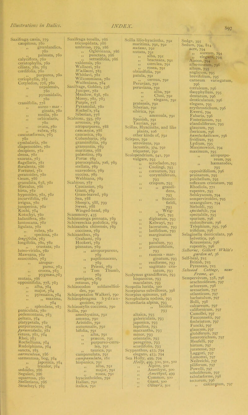 S97 Saxifraga cassia, 779 c<espitosa, 780 ,, grcenlandica, 780 ,, palmata, 780 calyciflora, 780 ceratophylla, 780 ciliata, 780, 785 cordifolia, 780 ,, purpurea, 780 coriophylla, 785 Cotyledon, 778, 780 ,, nepalensis, 780 ,, pyramidalis, 780 crassifolia, 778 ,, aureo - mar - ginata, 780 ,, media, 780 ,, orbicularis, 780 „ ovata^78o „ rubra, 785 cuscutaeformis, 785 780 cymbalaria, 780 diapensoides, 780 decipiens, 782 densa, 782 exarata, 783 flagellaris, 781 Jlorulenta, 736 Fortunei, 781 geranoides, 780 Geum, 786 granulata, 638, 781 Hirculus, 786 hirta, 782 hypnoides, 781, 782 incurvifolia, 782 irrigua, 780 juniperina, 782 Kochi, 784 Kotschyi, 780 ladanifera, 780 lantoscana, 782 ligulata, 782 ,, rubra, 782 ,, speciosa, 782 longi'folia, 783 longifolia, 780, 782 ,, crustata, 782 luteo-viridis, 780 Maweana, 782 muscoides, 783 ,, atropur- purea, 783 ,, crocea, 783 „ pygmaea,783 mutata, 786 oppositifolia, 778, 783 ,, alba, 784 ,, major, 784 ,, pyrenaica, 784 ,, ,, maxima, 784 „ splendens, 783 paniculata, 780 pedemontana, 783 peltata, 784 platypetala, 782 purpurascens, 784 pyramidalis, 781 retu.sa, 781, 784 Rhei, 783 Rochelliana, 784 Rudolphiana, 784 sancta, 785 sarmentosa, 786 sarmentosa, bog, 784 ,, japonica, 784 ,, tricolor, 784 sedoides, 786 Seguieri, 786 squarrosa, 780 -Stelleriana, 786 Stracheyi, 785 Saxifraga tenella, 786 tricuspidata, 786 umbrosa, 779, 786 ,, Oglevieana, 786 ,, punctata, 786 ,, serratifolia, 786 valdensis, 780 Wallacei, 782 Wallace/, 785 Whitlavi, 782 Wilkommiana, 780 Wulfeniana, 784 Saxifrage, Golden, 536 Juniper, 782 Meadow, 638, 781 Mossy, 781, 783 Purple, 778 Pyramidal, 780 Rochel's, 784 Siberian, 778 Scabiosa, 593, 787 arvensis, 789 atropurpurea, 788 caucasica, 788 caucasica, 789 Columbaria, 789 graminifolia, 789 gramuntia, 789 maritima, 788 palaestina, 789 Portae 789 pterocephala, 726, 789 stellata, 789 suaveolens, 789 succisa, 789 Webbiana, 789 Scabious, 787 Caucasian, 789 Giant, 789 Grass-leaved, 789 Sea, 788 Sheep's, 588, 799 Sweet, 788 Winged-head, 789 Scammony, 435 Schistostega pennata, 789 Schivereckia podolica, 789 Schizandra chinensis, 789 coccinea, 789 Schizanthus, 789 Grahami, 789 Hookeri, 789 pinnatus, 789 ,, atropurpureus, 789 ,, papilionaceus, 789. ,, Priesti, 789 ,, Tom Thumb, 789 porrigens, 789 retusus, 789 Schizocodon soldanellioi- des, 790 Schizopetalon Walkeri, 790 Schizophragma hydran- geoides, 790 Schizostylis coccinea, 790 Scilla, 790 amethystina, 792 amocna, 790 Aristidis, 792 autumnalis, 792 bifolia, 791 ,, alba, 791 ,, prajcox, 791 ,, purpureo-coeru- lea, 791 „ taurica, 791 campanulata, 791 campanulata, 161 hispanica, 791 ,, alba, 791 „ major, 791 v rosea, 791 hyacinthoides, 792 Italian, 791 italica, 791 Scilla lilio-hyacintha, 792 maritima, 791, 792 nutans, 792 nutans, 701 1, alba, 791 » bracteata, 791 „ ccerulea, 791 ,, rosea, 791 obtusifolia, 792 patula, 791 ,, . cernua, 792 Peruvian, 792 peruviana, 792 „ alba, 792 ,, Clusi, 792 „ # elegans, 792 pratensis, 792 Siberian, 791 sibirica, 791 ,, amcenula, 791 Spanish, 791 Taurian, 791 Scillas, Hyacinths, and like plants, 106 other kinds of, 792 Scirpus, 792 atrovirens, 792 lacustris, 374, 792 triqueter, 792 Scolopendrium, 541, 792 vulgare, 793 „ acrocladon, 793 „ Coolingi, 793 ,, cornutum, 793 ,, corymbiferum, 793 ,, crispum, 793. ,, ,, grandi- dens, o 793 ,, ,, Stands- fieldi, 793 >, » Wrig- leyi, 793 „ digitatum, 793 „ Kelwayi, 793 ,, laceratum, 793 ,, latifolium, 793 ,, marginatum 703 ,, patulum, 793 ,, pinnatifidum, 793 ,, ramosa - mar- ginatum, 793 ,, reniforme, 793 ,, sagittato cris- tatum, 793 Scolymus grandiflorus, 793 hispamcus, 793 maculatus, 793 Scopolia lurida, 320 Scorpiurus subvillosus, 398 Scorpius spinosus, 528 Scrophularia nodosa, 793 Scutellaria alpina, ^93 ,, bicolor, 793 altaica, 793 galericulata, 793 japonica, 793 lupulina, 793 inacrantha, 793 minor, 793 orientalis, 793 peregrina, 793 scordifolia, 793 Scypanthus, 453. 794 elegans, 453, 794 Sea Holly, 499, 794 Holly, 499, £00,501, 502 ,, Alpine, 500 ,, Amethyst, 500 ,, Amethyst, 499 ,, Common, 500 ,, Giant, 500 ,, Oliver's, 501 Sedge, 395 Sedum, 794, 8x4 acre, 794 ,, aureum, 794 V elegans, 794 Aizoon, 794 albo-roseum, 796 album, 795 anglicuin, 795 brevifolium, 795 carneum variegatum, 796 coeruleum, 796 dasyphyllum, 795 dentatum, 796 denticulatum, 796 elegans, 795 erythrostichum, 796 Ewersi, 794 Fabaria, 796 Fosterianum, 795 elanduliferuin, 795 glaucum, 795 ibericum, 796 kamtschaticum, 796 lividium, 795 Lydium, 795 Maximowiczi, 794 maximum, 795 ,, atropurpu- reum, 795 „ h$matodes, . . 795 opposirifolium, 796 pruinatum, 795 pulchellum, 795 reflexum cristatum, 795 Rhodiola, 771 rupestre, 795 Selskyanum, 794 sempervivoides, 795 sexangulare, 794 Sieboldi, 795 spcctabilc, 794 spectabile, 795 spurium, 796 stoloniferum, 796 Telephium, 795, 796 trifidum, 796 Selaginella denticulata, 796 helvetica, 796 Kraussiana, 796 rupestris, 796 Selbornc, Gilbert White's garden at, 36 Self-heal, 725 British, 725 Pyrenean, 725 Selwood Cottage, near Frome, 40 Sempervivum, 558, 796 arachnoideum, 797 arboreum, 798 arenarium, 797 atlanticum, 797 barbatulum, 797 Bolli, 798 calcareum, 797 californicum, 797 Camollei, 797 Fauconnetti, 797 fimbriatutn, 797 Funcki, 797 glaucum, 797 globiferum, 797 heterotrichum, 797 Heufelli, 797 hirtum, 797 juratense, 797 Laggori, 797 Lamottei, 797 Neilreichi, 797 piliferum, 797 Powelli, 797 soboliferum, 797 tabulmforme, 798 tectorum, 796 ,, calcanjtum, 797