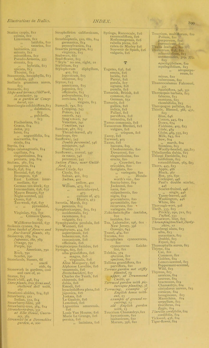 S99 Statice caspia, 812 eximia, 812 Limomum, 812 ,, latifolia, 8x2 ,, tatarica, 812 lusitanica, 333 minuta, 812 minutiflora, 812 Pseudo-Armeria, 333 sinuata, 814 ,, hybrida, 813 spicata, 813 Thouini, 813 Stauntonia, hexaphylla, 813 latifolia, 558 Stellaria graminea aurea, 813 Stenactis, 813 Stefs and terrace, Old Park, Axminster, 59 in a garden at Coney- hurst, 150 $ ternbergia colch ici flora, 813 ,, dalrffatica, 813 ,, pulchella, 8i3 Fischeriana, 813 Graeca, 814 lutea, 313 lutea, 814 „ angustifolia, 814 macrantha, 814 sicula, 814 Stevia, 814 Stipa calamagrostis, 814 capillata, 814 elegantissima, 814 pennata, 509, 814 Stobaea, 367, 814 purpurea, 814 Stock, 636, 814 Biennial, 636, 637 Brompton, 636 East Lothian inter- mediate, 637 German ten-week, 637 Intermediate, 636, 637 Mauve Beauty, 637 Night-scented, 555 Queen, 636 Ten-week, 636, 637 ,, ,, pyramidal, ... 637 \ lrgiman, 635, 852 ,, Crimson Queen, 635 Wallflower-leaved, 637 Stokesia cvanea, 814 Stone basket 0/ficnuers and fne-leaved plants, 185 Stonecrop, 789, 814 Japanese, the, 789 Orange, 791 Purple, 791 ,, American, 790 Rock, 790 Scarlet, 790 Stonelands, Sussex, 68 ,, south side, 69 Stonework in gardens, cost and care of, 20 Storax, 815 Stork’s-bill, 498, 814 Stove plan Is, tree ferns and, sheltered dell with, f c. . i67 . Stratiotes aloides, 814, 858 Strawberry, 511 Indian, 512, 814 Strawberry-blite, 368 Strawberry-tree, 364, 814 Stra-uberry-tree, 331 at Hint House, Guern- sey, 365 Streamlet in a Devonshire garden, a, 200 Stropholirion californicum, r. 371 . Struthiopteris, 510, 680, 814 germanica, 814 pennsylvanica, 814 Stuartia pentagyna, 815 virginica, 815 Stub wort, 681 Stud-flower, 813 “ Style ” no one, right, 22 Styhdium, 815 Stylophcrum diphyllum, 4°7i 815 japomeum, 815 ohioense, 815 Styrax, £ 15 americana, 815 japonica, 815 officinalis, 815 pulverulenta, 815 serrulata, 815 }, virgata, 815 Sumach, 741, 815 Creeping, 743 Poisoti, 743 smooth, 743 Stag s-bom, 741 Venetian, 741 Venetian, 742 Sundew, 487, 815 Thread-leaved, 487 Sundrops, 670 Sunflower, 545 Double perennial, 546 miniature, 548 Prairie, 7:1 Sunflowerr., annual, 547 in vases, 548 perennial, 545 Sutton Place, near Guild- ford, 23 Sweet Cicely, 651 Cicely, 815 Sultan, 401, 815 Sultan, 402 ,, yellow, 402 William, 473, 815 ,, auricula-eyed, f73 r ,, culture of, 473 „ Hunt’s, 473 Swertia, Marsh, 815 perennis, 815 Symphoricarpus, 803, 815 occidentalis, 815 racemosus, 815 vulgaris, 815 Symphyandra pendula, 816 Wanneri, 816 Symphytum, 434, 816 asperrimum, 816 bohemicum, 816 caucasicum, 8x6 officinale, 816 Symplocarpus feetidus, 816 Syringa, 605, 816 alba grandiflora, 816 ,, magna, 816 ,, virginalis, 816 Aline Mocquerv, 816 Alphonse Lavellde, 816 amurensis, 816 Bretschncideri, 817 Charles the Tenth, 816 chinensis, 816 dubia, 816 Emodi, 816 hyacinthiflora plena,816 japonica, 816 Joska:a, 816 Le Gaulois, 816 Lemoinei, 816 Ligustrina amurensis, 8x6 Louis Van Houtte, 816 Marie Le Grange, 816 persica, 816 ,, laciniata, 816 Syringa, Ranoncule, 816 ranunculiflora, 816 Rothomagensis, 816 rubella plena, 816 rubra de Marley 816 Souvenir de Spath, 816 vulgaris, 816 T Tagetes, 636, 816 erecta, 816 lucida, 816 Parryi, 816 patula, 817 signata, 818 pumila, 818 Tamarisk, British, 818 common, 651 German, 651 Tamarix, 818 gall ica, 818 indica, 818 Pallasi, 818 parviflora, 818 tetrandra, 818 Tamus communis, 818 Tanacetum Herderi, 818 vulgare, 818 ,, crispum, 818 Tansy, 818 Tar weed, 405 Taxus, 818 baccata, 819 Cheshuntensis, 820 Dovastoni, 820 elegantissima, 820 erecta, 820 ,, Crowderi, 820 ericoides, 820 fastigiata, 820 ,, variegata, 820 ,, ,, Hands- worth’s var., 820 fructu-luteo, 819 Jacksonii, 820 nana, 820 nidpathensis, 820 nigra, 819 procumbens, 820 pyramidalis, 820 recurvata, 820 > variegata, 820 Tchichatschejfia isatidca, 820 isatidea, 820 Tea, Laborador, 396, 601 N ew Jersey, 398 Oswego, 645 Teasel, 484, 821 Tecoma, 821 Tecophylaia cyanocrocus, 821 cyanocrocus Leicht- lini, 821 Telekia, 374 speciosa, 821 speciosa, 821 Tellima grandiflora, 821 parviflora, 821 Terrace garden not stiffly planted, 59 I upper, at Drummond I Castle, 42 Terraced garden with pic- turesque planting, 38 Terracing, example of English house with- out, 23 example of ground're- quiring, 13 old English garden with, 15 Teucrium Chama:drys,82i hyrcanicum, 822 lusitanicum, 822 Marum, 398, 821 Teucrium, multiflorum, 822 Poliuin, 821 % purpureum, 822 , pyrenaicum, 822 Thalia Jealbata, 822 Thalictrum, 6^8, 822 adiantifolium, 823 anemenoides, 319, 773, 823 aqu 1 legifolium, 822 aquilegifolium, 823 ,, atropurpu- reum, 82 minus, 822 tuberosum, 822 Thamnocalamus Falconeri, „ 35*. Spathiflora, 348, 351 Thermopsis barbata, 823 fabacea, 823 montana, 823 rhombifolia, 823 Theropogon pallidus, 823 Thistle, Blessed, 368, 431, 823 Blue, 646 Cotton, 445, 674 Down, 674 Fishbone, 405, 823 Globe, 489 Globe, 489, 535, 823 Milk, 643, 801 Sow, 804 ,, marsh, 804 Stemless, 803 Woolly-headed, 395,823 Thladiantha dubia, 823 Thlaspi Iberidella, 823 latifolium, 823 rotundifolium, 565, 823 Thorn, 445, 823 Apple, 466 Black, 367 Box, 370, 630 Cockspur, 446 Paul’s double scarlet, 446 Scarlet-fruited, 446 ,, single, 446 Tansy-leaved, 446 Washington, 446 White, 860 Thorough-wort, 508 Thrift, 333, 823 Prickly, 290, 7x1, 823 Tufted, 333 Throatwort, blue, 825 Thrumpingtonllall, Derby- shire, 17 Thunbergi alata, 823 alba, 823 aurantiaca, 823 Doddsi, 823 Fryeri, 823 Thymophylla aurea, 823 Thyme, 824 Cat, 821 Common, 821 Golden, 824 Lemon-scented, 823 Peppermint-scented, Wild, 823 Thymus, 823 azoricus, 824 azureus, 824 bractcosus, 824 Chammdrys, 824 citriodorus aureus, 823 corsicus, 824 lanuginosus, 823 Mastichina, 824 serpyllum, 823 thuriferus, 824 Zygis, 824 Tiarella cordifolia, 824 cordifolia, 824 Tickseed, 438, 824 Tiger-flower, 824