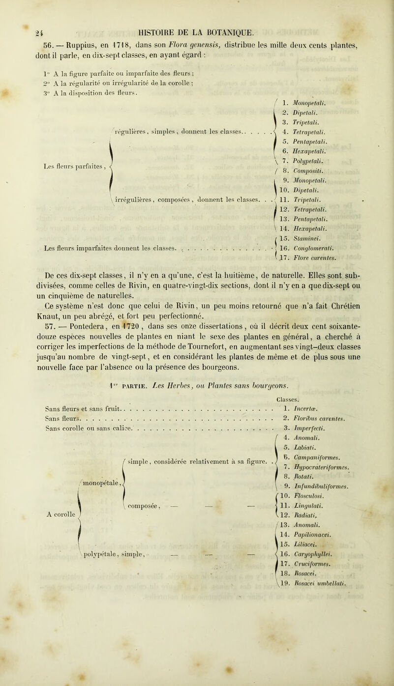56. — Ruppius, en 1718, dans son Flora genensis, distribue les mille deux cents plantes, dont il parle, en dix-sept classes, en ayant égard ; 1 A la figure parfaite ou imparfaite des fleurs ; 2 A la régularité oir irrégularité de la corolle ; .3 A la disposition des fleurs. régulières, simples, donnent les classes, Les fleurs par-faites, ' irrégulières, composées, donnent les classes. Les fleurs imparfaites donnent les classes. / 1. 2. 3. 4. 5. 6. \7. / 8. 12. f 13. \ 14. 15. 16. :i7. Monopetali. Dipelali. Tripetali. Tetrapelali. PentapelaU. Hexapetali. Polypeiali. Compositi. Monopetali. Dipetali. Tripetali. Tetrapelali. Pentapetali. Hexapetali. Staminei. Conglomerati. Flore carentes. De ces dix-sept classes, il n’y en a qu’une, c’est la huitième, de naturelle. Elles sont sub- divisées, comme celles de Rivin, en quatre-vingt-dix sections, dont il n’y en a que dix-sept ou un cinquième de naturelles. Ce système n’est donc que celui de Rivin, un peu moins retourné que n’a fait Chrétien Knaut, un peu abrégé, et fort peu perfectionné. 57. — Pontedera, en 1720 , dans ses onze dissertations, où il décrit deux cent soixante- douze espèces nouvelles de plantes en niant le sexe des plantes en général, a cherché à corriger les imperfections de la méthode de Tournefort, en augmentant ses vingt-deux classes jusqu’au nombre de vingt-sept, et en considérant les plantes de même et de plus sous une nouvelle face par l’absence ou la présence des bourgeons. 1 p.VRTiE. Les Herbes, ou Plantes sans bourgeons. Sans fleurs et sans fruit.. . Sans flem’S Sans corolle ou sans calice. ’ simple, considérée relativement à sa figure. monopétale, j A corolle \ composée, polypétale, simple, Classes. 1. Incerlæ. 2. Floribus carentes. 3. Imperfecti. f 4. Anomali. 1 5. Lahiati. ) B. Camjtaniformes. \ 7. Hypocrateriformes. r 8. liotati. \ 9. Infundibuliformes. ÎlO. Flosculosi. 11. Lingulati. 12. Radiati, / 13. Anomali. 1 14. Papüionacei. I 15. Liliacei. <16. Caryophyllei. I 17. Cruciformes. f 18. Rosace!. \ 19. Rosacei umbellati.