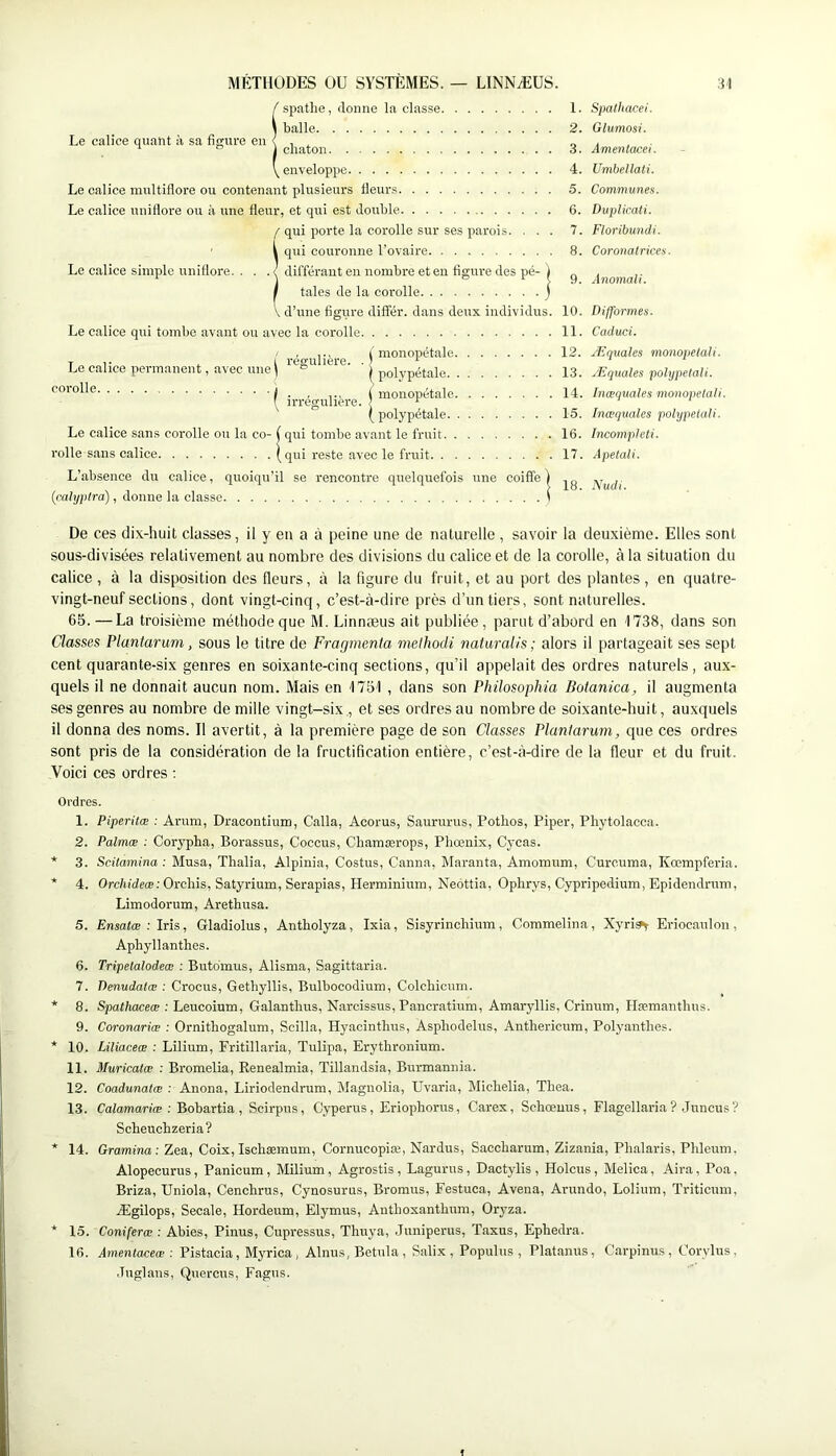 1. Spalhacei. 2. Glumosi. 3. Ameniacei. 4. Umbellati. 5. Communes. 6. Duplicati. 7. Floribundi. 8. Coronatrices. 9. Anomali. 10. Difformes. 11. Caduci. 12. Æquales monopelaU. 13. Æquales pohjpetali. 14. Inœquales monopetaU. 15. Inœquales polypelali. 16. Incompleti. 17. Apetali. 18. Nudi. De ces dix-huit classes, il y en a à peine une de naturelle , savoir la deuxième. Elles sont sous-divisées relativement au nombre des divisions du calice et de la corolle, à la situation du calice , à la disposition des fleurs, à la figure du fruit, et au port des plantes , en quatre- vingt-neuf sections, dont vingt-cinq, c’est-à-dire près d’un tiers, sont naturelles. 65. —La troisième méthode que M. Linnæus ait publiée , parut d’abord en 1738, dans son Classes Plantarum, sous le titre de Fragmenta melhodi naturaiis; alors il partageait ses sept cent quarante-six genres en soixante-cinq sections, qu’il appelait des ordres naturels, aux- quels il ne donnait aucun nom. Mais en M'6\ , dans son Philosophia Botanica, il augmenta ses genres au nombre de mille vingt-six , et ses ordres au nombre de soixante-huit, auxquels il donna des noms. Il avertit, à la première page de son Classes Planlarum, que ces ordres sont pris de la considération de la fructification entière, c’est-à-dire de la fleur et du fruit. Voici ces ordres ; Ordres. 1. Piperitœ : Arum, Dracontium, Calla, Accrus, Saururus, Pothos, Piper, Phytolacca. 2. Palmæ : Corypha, Borassus, Coccus, Chamærops, Phœnix, Cycas. * 3. Scitamina : Musa, Thalia, Alpinia, Costus, Canna, Maranta, Amomum, Curcuma, Kœmpferia. * 4. Orc/tidecB; Orchis, Satyrium, Serapias, Herminium, Neôttia, Ophrys, Cypripedium, Epidendrum, Limodorum, Arethusa. 5. Ensatœ : Iris, Gladiolus, Antholyza, Ixia, Sisyrinclûum, Coramelina, Xyri?y Eriocaulon, Aphyllanthes. 6. Tripetalodeæ : Butdinus, Alisma, Sagittaria. 7. Denudatœ : Crocus, Gethyllis, Bulbocodium, Colcliicuin. * 8. Spathaceæ : Leucoium, Galantlius, Narcissus, Pancratium, Amaryllis, Crinum, Hæmantlius. 9. Coronariœ : Ornithogalum, Scilla, Hyacinthirs, Aspliodelus, Antherieum, Polyantlies. * 10. Liliaceœ : Lilium, Fritillaria, Tulipa, Erythronium. 11. Muricatœ : Bromelia, Renealmia, Tillandsia, Burmannia. 12. Coadunatæ : Anona, Liriodendrum, Magnolia, Uvaria, Miclielia, Thea. 13. Calamariæ : Bobartia, Scirpus, Cyperus, Eriophorus, Carex, Schœuus, Flagellaria? Juncus? Scbeucbzeria? * 14. Gramina: Zea, Coix, Ischæmum, Cornucopiæ, Nardus, Saccharum, Zizania, Phalaris, Plileum, Alopecurus, Panicum, Milium, Agrostis, Lagurus, Dactylis , Holcus, Melica, Aira, Poa, Briza, Uniola, Cenchrus, Cynosurus, Bi'omus, Festuca, Avena, Arundo, Lolium, Triticum, Ægilops, Secale, Hordeum, Elymus, Autboxantbum, Oryza. * 15. Coniferœ : Abies, Pinus, Cupressus, Tbuya, Juniperus, Taxus, Epbedra. 16. Amentaceæ : Pistacia, Myrica, Alnus, Betula , Salix , Populus , Platanus, Carpinus , Corvlus. .Tuglaus, Quercus, Fagus. Îspatbe, donne la classe balle chaton enveloppe Le calice multiflore ou contenant plusieurs fleurs Le calice uuiflore ou à une fleur, et qui est double ( qui porte la corolle sur ses parois. . . . qui couronne l’ovaire Le calice simple uuiflore. ■ ■ ■{ différant en nombre et en figure des pé- fales de la corolle , d’une figiire difïer. dans deirx individus. Le calice qui tombe avant ou avec la corolle ' . I monopétale Le calice permanent, avec une ) ^ polypétale corolle I _ (monopétale ( polypétale Le calice sans corolle ou la co- ( qui tombe avant le fruit rolle sans calice Iqui reste avec le fruit L’absence du calice, quoiqu’il se rencontre quelquefois une coiffe I (cahjptra) , donne la classe i