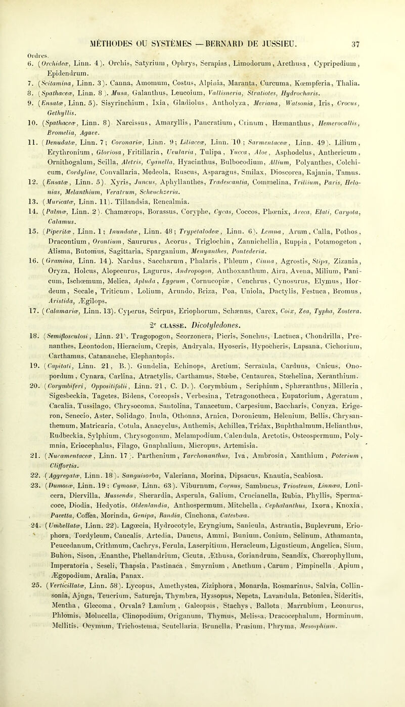 MÉTHODES OU SYSTÈMES —BERNARD DE JUSSIEU. Ordres. 6. {Orcliideæ, Liiui. 4). Ürcliis, Satyriuni, Oplirys, Serapias, Limodorum, Aretliusa, Cypripedium , Epidendrum. 7. {Scitamina, Linn. .3). Canna, Amomum, Costus, Alpinia, Maranta, Curcuma, Kœmpferia, Thalia. 8. {Spathaceæ, Linn. 8 ]. Musa. Galantluis, Leucoium, Vallisneria, Stratioles, Hydrodiaris. 9. (/insa(œ, Linn. 5). Sisyrinchium, Ixia, Gladiolus, Antholyza, Meriana, ILaï-sonia, Iris, Crocus, Gethyllis. 10. {Spalhaceæ, Linn. 8). Narcissus, Amaryllis, Paiicratium, Ciinum , Hæinanthus, Hemerocallis, Bromelia, Agave. 11. {Denudatœ, Linn. 7 ; Coronariæ, Linn. 9; Liliaceæ, Linn. 10; Sarmenlaceœ, Linn. 49). Lilium , Erytlironiam, Gloriosa, Fritillaria, Uvularia, Tulipa, Yucca, Aloe, Asphodelus, Anthericum , Ornilliogalum, Scilla, Aletris, Cyanella, Hyacinthus, Bulbocodium, Allium, Polyanthes, Colclii- cum, Cnrdyline, Convallaria, Medeola, Rnscus, Asparagus, Smilax, Dioscorea, Rajania, Tamus. 12. {Ensalœ, Linn. 5). Xyris, Juncus, Apliyllantlies, Tradescantia, Comnielina, Trihium, Paris, Helo- nias, Melanthhim, Verairum, Scheuchzeria. 13. {Muricatœ, Linn. 11). Tillandsia, Renealmia. 14. {Palmæ, Linn. 2). Cliamærops, Borassus, Coryplie, Cycas, Coccos, Pliœnix, Areca. Etait, Caryola, Calamus. 15. {Piperilœ, Linn. 1; Inundatœ, Linn. 48; Trypelalodeœ, Linn. 6). Leinna, Arum, C'alla, Potlios, Dracontium, Orontium, Saururus, Accrus, Triglocliin, Zannichellia, Ruppia , Potarnogeton , Alisma, Butomus, Sagittaria,. Sparganium, Menyantlies, Pontederia. 16. {Gramina, Linn. 14). Nardus , Saocharum, Phalaris, Phloum , Cinna, Agrostis, .So'pa, Zizania, Oryza, Holcus, Alopecurus, Lagurus, Andropogon, Anthoxantlmm, Aira, Avena, Milium, Pani- cum, Ischœmum, Melica, Apluda, Lygeum, Cornucopiæ, Cenclmis, Cynosurus, Elyjnus, Ilor- deum, Secale, Triticum, Lolium, Arundo, Briza, Poa, Uniola, Dactylis, Festuca, Bromus, Arislida, Ægilops. 17. [Calamariœ, Linn. 13). Cyperus, Scirpus, Eriopliorum, Schænus, Carex, Coix, Zea, Typha, Zoslera. 2' CLASSE. Dicotylédones. 18. {Semiflosculosi, Linn. 21'. Tragopogon, Scorzonera, Picris, Sonclius, Lactuca, Chondrilla, Pre- nanthes, Leontodon, Hieracium, Crépis, Andryala, Hyoseris, Hypobheris, Lapsana, Cichorium, Carthamus, Catananclie, Elephantopis. 19. {Capituli, Linn. 21, B.). Gundelia, Ecliinops, Arctium, Serraoula, Carduus, Cnicus, Ono- pordum, Cynara, Carlina, Atractylis, Carthamus, Stœbe, Centanrea, Stœhelina, Xerantliium. 20. [Corymbiferi, Oppositifolii, Linn. 21, C. D. ). Corymbium , Seriphium, Sphæranthus, Milleria , Sigesbeckia, Tagetes, Bidens, Coreopsis, Verbesina, Tetragonotheca, Eupatorium, Agératum, Cacalia, Tussilage, Chrysocoma, Santolina, Tan.acetum, Carpesium, Baccharis, Conyza, Erige- ron, Senecio, Aster, Solidago, Inula, Othonna, Arnica, Doronicum, Helenium, Bellis, Chrysan- themum, Matricaria, Cotula, Anacyclus, Anthémis, Achillea, Tridax, Buphthalmum, Helianthus, Rudbeckia, Sylphium, Chrysogonum, Melampodium,Calendula, Arctotis, Osteospermum, Poly- mnia, Eriocephalus, Filago, Gnaphalium, Micropus, Artemisia. 21. {Nuramentaceœ, Linn. 17). Parthenium, Tarchonanltius, Iva, Ambrosia, Xanthium , Poterium , Cliffortia. 22. ( Aggregatæ, Linn. 18). Sanguisorba, Valeriana, Morina, Dipsacus, Knautia, Scabiosa. 23. {Dumosæ, Linn. 19; Cymosæ, Linn. 63). Viburnum, Cornus, Sambucus, Triosteum, Linnœa, Loni- cera, Diervilla, Mussenda, Sherardia, Asperula, Galium, Crucianella, Rubia, Phyllis, Sperma- coce, Diodia, Hedyotis, Oldentandia, Anthospermum, Mitchella, Cephalanthus, Ixora, Knoxia, , Pavetla, Coffea, Morinda, Genipa, Randia, Cinchona, Calesbœa. 24. {Umbellatæ, Linn. 22). Lagcecia, Hydrocotyde, Eryngium, Sanicula, Astrantia, Buplevrum, Erio- ' phora, Tordyleum, Caucalis, Artedia, Daucus, Ammi, Bunium, Conium, Selinum, Athamanta, Peucedanum, Crithmum, Cachrys, Ferula, Laserpitium, Heracleum, Ligusticum, Angelica, Sium, Buhon, Sison, Ænanthe, Phellandrium, Cicuta, Æthusa, Coriandrum, Scandix, Chœrophyllum, Imperatoria , Seseli, Thapsia, Pastinaca, Smyrnium , Anethum , Carum , Pimpinella , Apium, Ægopodium, Aralia, Panax. 25. {Verticillatæ, Linn. 58). Lycopus, Amethystea, Ziziphora, Monarda, Rosmarinus, Salvia, Collin- sonia, Ajuga, Teucrium, Satureja, Thymbra, Hyssopus, Nepeta, Lavandula, Betonica, Sideritis, Mentha, Glecoma , Orvala? Lamium , Galeopsis, Stachys, Ballota, Marrubium, Leonurus, Phlomis, Molucelhi, Clinopodium, Origanum, Thymus, Melissa, Dracocephalum, Horminum, Mellitis, Ocymum, Trichostema, Scutelhiria, Brunclla, Prasium, Phryma, .Vesosphium.
