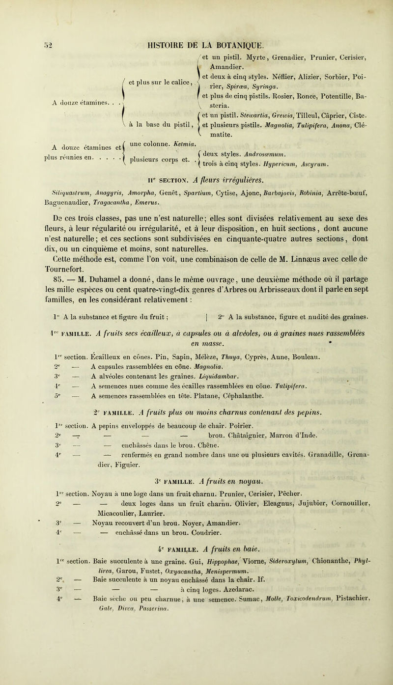 A douze étamines. . . A douze étamines et plus réunies en et plus sur le calice, à la base du pistil, et un pistil. Myrte, Grenadier, Prunier, Cerisier, 1 Amandier. ] et deux à cinq styles. Néflier, Alizier, Sorbier, Poi- 1 rier, Spiræa, Syringa. I et plus de cinq pistils. Rosier, Ronce, Potentille, Ba- \ steria. ict un pistil. Stewartia, Grewia, Tilleul, Câprier, Ciste, et plusieurs pistils. Magnolia, Tulipifera, Anona, Clé- matite. une colonne. Ketmia. plusieurs corps et. . deux styles. Androsœmum. trois à cinq styles. Hypericum, Ascyrum. IP SECTION. A fleurs irrégulières. Siliguastrum, Anagyris, Amorpha, Genêt, Spartium, Cytise, Ajonc, Barbajovis, Robinia, Arrête-bœuf, Baguenaudier, Tragacanlha, Emerus. De ces trois classes, pas une n’est naturelle; elles sont divisées relativement au sexe des fleurs, à leur régularité ou irrégularité, et à leur disposition, en huit sections, dont aucune n’est naturelle ; et ces sections sont subdivisées en cinquante-quatre autres sections, dont dix, ou un cinquième et moins, sont naturelles. Cette méthode est, comme l’on voit, une combinaison de celle de M. Linnæus avec celle de Tournefort. 85. — M. Duhamel a donné, dans le même ouvrage, une deuxième méthode où il partage les mille espèces ou cent quatre-vingt-dix genres d’Arbres ou Arbrisseaux dont il parle en sept familles, en les considérant relativement : 1 A la substance et flgure du fruit ; | 2“ A la substance, figure et nudité des graines. P' FAMILLE. A fruils sscs écailleux, ci capsules ou à alvéoles, ou à graines nues rassemblées en masse. P' section 2<^ 3' — 4- — ô' — Ecailleux en cônes. Pin, Sapin, Mélèze, Thuya, Cyprès, Aune, Bouleau. A capsules rassemblées en cône. Magnolia. A alvéoles contenant les graines. Liquidambar. A semences nues comme des écailles rassemblées en cône. Tulipifera. A semences rassemblées en tête. Platane, Céphalanthe. 2‘' KA.MiLLE. .4 fruils plus ou moins charnus conlenanl des pépins. 1 .section. A pépins enveloppés de beaucoup de chair. Poirier. 2‘' —T — — — brou. Châtaignier, Marron d’Inde. 3'’ — — enchâssés dans le brou. Chêne. 4*' —■ — renfermés en grand nombre dans une ou plusieurs cavités. Granadille, Grena- dier, Figuier. 3' FAMILLE. A fruits en noyau. P' section. Noyau à une loge dans un fruit charnu. Prunier, Cerisier, Pêcher. 2' — — deux loges dans un fruit charnu. Olivier, Eleagnus, Jujubier, Cornouiller, Micacoulier, Laurier. 3' — Noyau recouvert d’un brou. Noyer, Amandier. 4'' — — enchâssé dans un brou. Coudrier. 4' FAMILLE. A fruits en haie. 1 .section. Baie succulente à une graine. Gui, Hippophae, Viorne, Sideroxylum, Chionanthe, Phyl- lirea, Garou, Fustet, Oxyacantha, Menispermum. 2 — Baie succulente à un noyau enchâssé dans la chair. If. 3' — — — à cinq loges. Azedarac. 4’' Baie sèche ou peu charnue, à une semence. Sumac, Molle, Toxicodendruin, Pistachier. Ouïe. Diicu. l’asserinn.