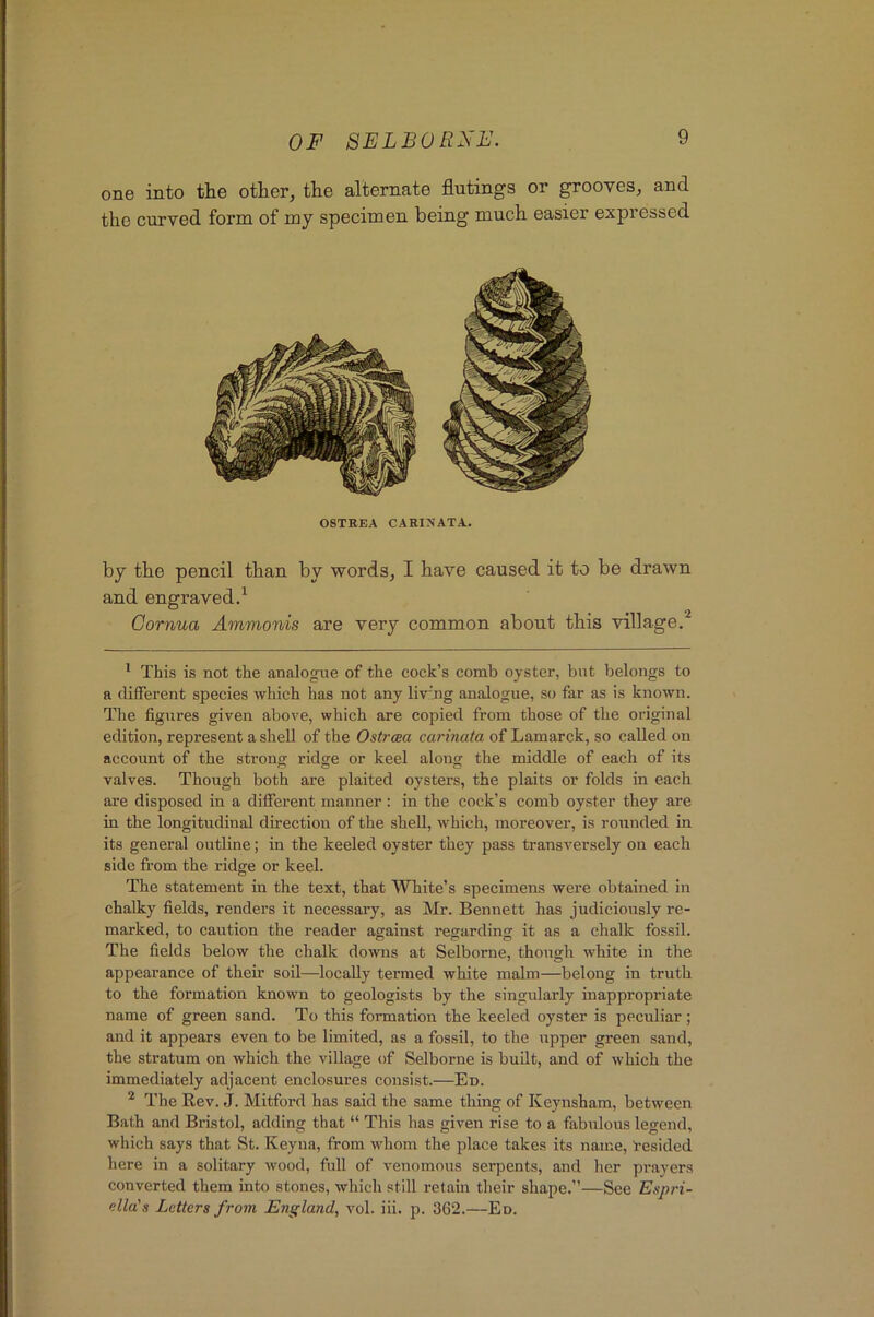 one into the other, the alternate flutings or grooves, and the curved form of my specimen being much easier expressed OSTKEA CARi:\ATA. by the pencil than by words, I have caused it to be drawn and engravedd Cornua Ammonis are very common about this village.^ ^ This is not the analogue of the cock’s comb oyster, but belongs to a different species which has not any liv'ng analogue, so far as is known. The figures given above, which are copied from those of the original edition, represent a shell of the Ostrcea carinata of Lamarck, so called on accoxmt of the strong ridge or keel along the middle of each of its valves. Though both are plaited oysters, the plaits or folds in each are disposed in a different manner : in the cock’s comb oyster they are in the longitudinal direction of the shell, which, moreover, is rounded in its general outline; in the keeled oyster they pass transversely on each side from the ridge or keel. The statement in the text, that White’s specimens were obtained in chalky fields, renders it necessary, as Mr. Bennett has judiciously re- marked, to caution the reader against regarding it as a chalk fossil. The fields below the chalk downs at Selborne, though white in the appearance of their soil—locally termed white malm—belong in truth to the formation known to geologists by the singularly inappropriate name of green sand. To this formation the keeled oyster is peculiar; and it appears even to be limited, as a fossil, to the upper green sand, the stratum on which the village of Selborne is built, and of which the immediately adjacent enclosures consist.—En. * The Rev. J. Mitford has said the same thing of Keynsham, between Bath and Bristol, adding that “ This has given rise to a fabulous legend, which says that St. Keyna, from whom the place takes its name, t-esided here in a solitary wood, full of venomous serpents, and her prayers converted them into stones, which still retain their shape.”—See Espri- ella's Letters from England, vol. iii. p. 362.—Ed.