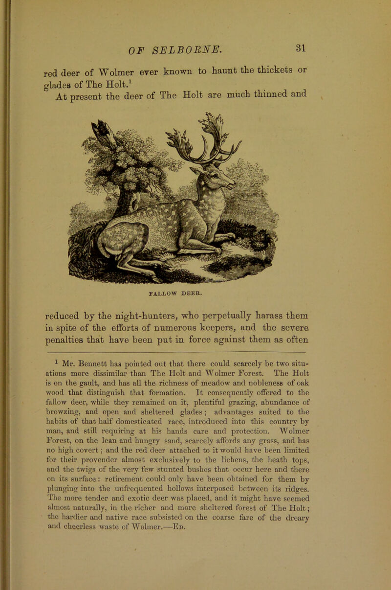 red deer of Wolmer ever known to haunt the thickets or glades of The Holt.^ At present the deer of The Holt are much thinned and FALLOW DEER. reduced by the night-hunters, who perpetually harass them in spite of the efforts of numerous keepers, and the severe penalties that have been put in force against them as often ^ Mr. Bennett has pointed out that there could scarcely be two situ- ations more dissimilar than The Holt and Wolmer Forest. The Holt is on the gault, and has aU the richness of meadow and nobleness of oak wood that distinguish that formation. It consequently offered to the fallow deer, while they remained on it, plentiful grazing, abundance of browzing, and open and sheltered glades; advantages suited to the habits of that half domesticated race, introduced into this countiy by man, and still requiring at his hands care and protection. Wolmer Forest, on the lean and hungry sand, scarcely affords any gi'ass, and has no high covert; and the red deer attached to it would have been limited for their provender almost exclusively to the lichens, the heath tops, and the twigs of the very few stunted bushes that occur here and there on its surface: retirement could only have been obtained for them by plunging into the unfrequented hollows interposed between its ridges. The more tender and exotic deer was placed, and it might have seemed almost naturally, in the richer and more sheltered forest of The Holt; the hardier and native race subsisted on the coarse fare of the dreai’y and cheerless waste of Wolmer.—Ed.