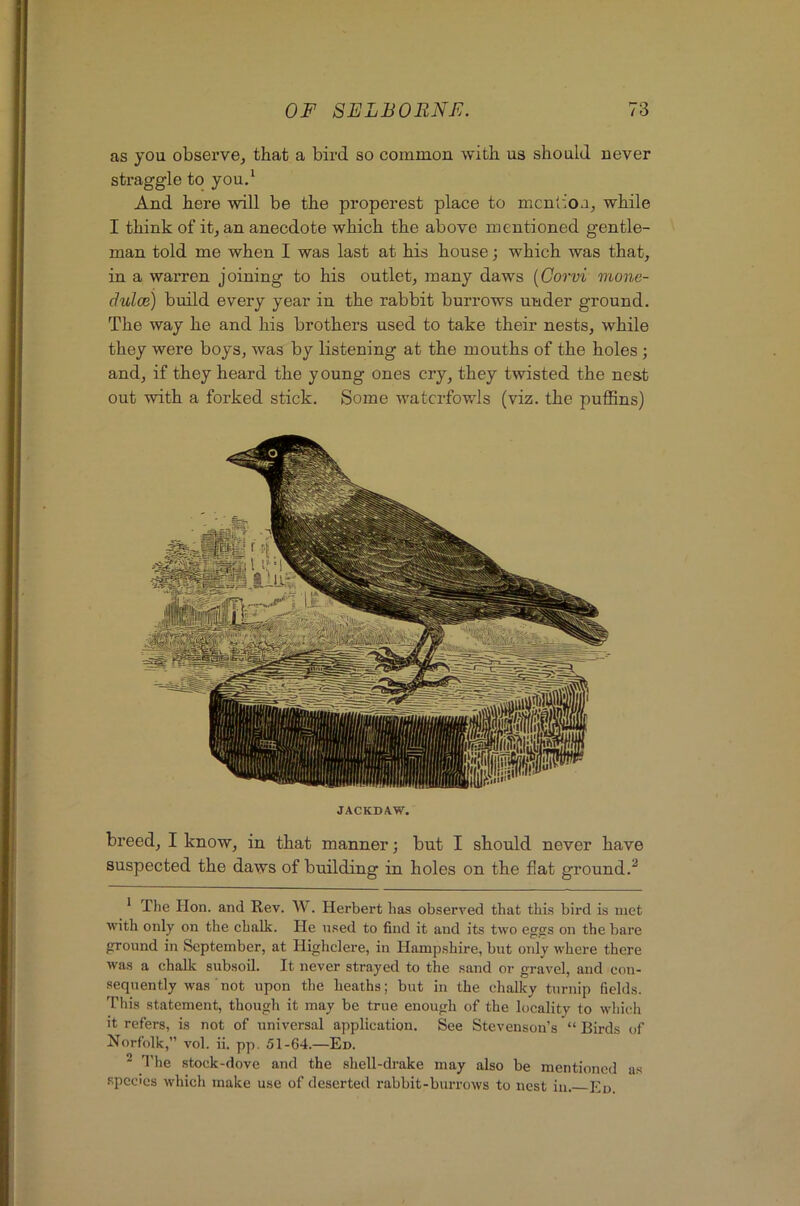 as you observe, that a bird so common with us should never straggle to you/ And here will be the properest place to mcnlioa, while I think of it, an anecdote which the above mentioned gentle- man told me when I was last at his house •, which was that, in a warren joining to his outlet, many daws {Corvi mone- duloe) build every year in the rabbit burrows under ground. The way he and his brothers used to take their nests, while they were boys, was by listening at the mouths of the holes ; and, if they heard the young ones cry, they twisted the nest out with a forked stick. Some waterfowls (viz. the puffins) JACKDAW. breed, I know, in that manner; but I should never have suspected the daws of building in holes on the flat ground.^ * The Hon. and Rev. W. Herbert has observed that this bird is met with only on the chalk. He used to find it and its two eggs on the bare ground in September, at Highclere, in Hamp.shire, but only where there was a chalk subsoil. It never strayed to the sand or gravel, and con- sequently was ■ not upon the heaths; but in the chalky turnip fields, 'rhis statement, though it may be true enough of the locality to which it refers, is not of universal application. See Stevenson’s “ Birds of Norfolk,” vol. ii. pp. 51-64.—Ed. ^ I'he .stock-dove and the shell-drake may also be mentioned as spcocs which make use of deserted rabbit-burrows to nest in. Piu.