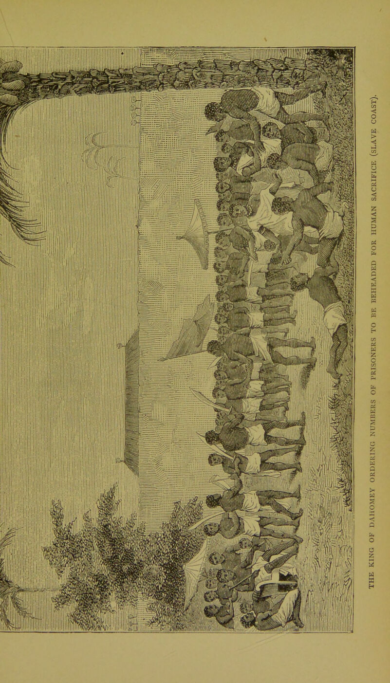 THE KING OF DAHOMEY ORDEKING NUMBERS OF l’RISONERS TO BE BEHEADED FOR HUMAN SACRIFICE (SLAVE COAST).