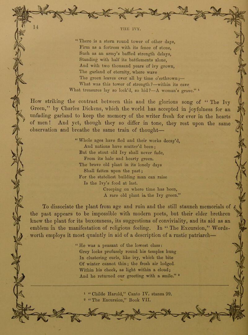 THE IVY. “ There is a stern round tower of other days, Firm as a fortress with its fence of stone, Such as an army’s baffled strength delays, Standing with half its battlements alone, And with two thousand years of ivy grown, The garland of eternity, where wave The green leaves over all by time o’erthrown;— What was this tower of strength p—within its cave What treasures lay so lock’d, so hid?—A woman’s grave.” 1 How striking the contrast between this and the glorious song of “ The Ivj Green,” by Charles Dickens, which the world has accepted in joyfulness for an unfading garland to keep the memory of the writer fresh for ever in the hearts of men ! And yet, though they so differ in tone, they rest upon the same observation and breathe the same train of thought— “ Whole ages have fled and their works decay’d, And nations have scatter’d been; But the stout old Ivy shall never fade, From its hale and hearty green. The brave old plant in its lonely days Shall fatten upon the past ; For the stateliest building man can raise Is the Ivy’s food at last. Creeping on where time has been, A rare old plant is. the Ivy green.” To dissociate the plant from age and ruin and the still staunch memorials of the past appears to be impossible with modern poets, but their elder brethren knew the plant for its buxomness, its suggestions of conviviality, and its aid as an emblem in the manifestation of religious feeling. In “ The Excursion,” Words- worth employs it most quaintly in aid of a description of a rustic patriarch— “ He was a peasant of the lowest class: Grey locks profusely round his temples hung In clustering curls, like ivy, which the bite Of winter cannot thin; the fresh air lodged Within his cheek, as light within a cloud; And he returned our greeting with a smile.” 2 1 “ Childe Harold,” Canto IV. stanza 99. 2 “ The Excursion,” Book VII.