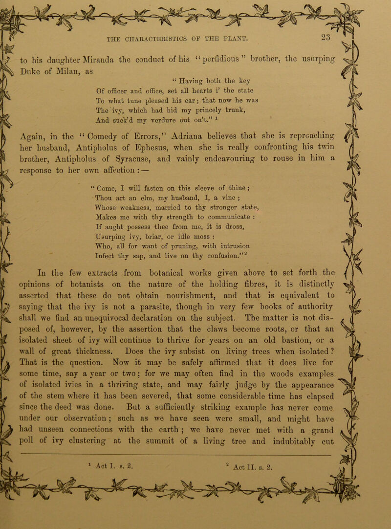 to his daughter Miranda the conduct of his “perfidious” brother, the usurping Duke of Milan, as “ Having both the key Of officer and office, set all hearts i’ the state To what tune pleased his ear; that now he was The ivy, which had hid my princely trunk, And suck’d my verdure out on’t.” 1 Again, in the “ Comedy of Errors,” Adriana believes that she is reproaching her husband, Antipholus of Ephesus, when she is really confronting his twin brother, Antipholus of Syracuse, and vainly endeavouring to rouse in him a response to her own affection : — “ Come, I will fasten on this sleeve of thine ; Thou art an elm, my husband, I, a vine ; Whose weakness, married to thy stronger state, Makes me with thy strength to communicate : If aught possess thee from me, it is dross, Usurjjing ivy, briar, or idle moss : Who, all for want of pruning, with intrusion Infect thy sap, and live on thy confusion.”2 In the few extracts from botanical works given above to set forth the opinions of botanists on the nature of the holding fibres, it is distinctly asserted that these do not obtain nourishment, and that is equivalent to saying that the ivy is not a parasite, though in very few books of authority shall we find an unequivocal declaration on the subject. The matter is not dis- posed of, however, by the assertion that the claws become roots, or that an isolated sheet of ivy will continue to thrive for years on an old bastion, or a wall of great thickness. Does the ivy subsist on living trees when isolated ? That is the question. Now it may be safely affirmed that it does live for some time, say a year or two; for we may often find in the woods examples of isolated ivies in a thriving state, and may fairly judge by the appearance of the stem where it has been severed, that some considerable time has elapsed since the deed was done. But a sufficiently striking example has never come under our observation; such as we have seen were small, and might have had unseen connections with the earth ; we have never met with a grand poll of ivy clustering at the summit of a living tree and indubitably cut