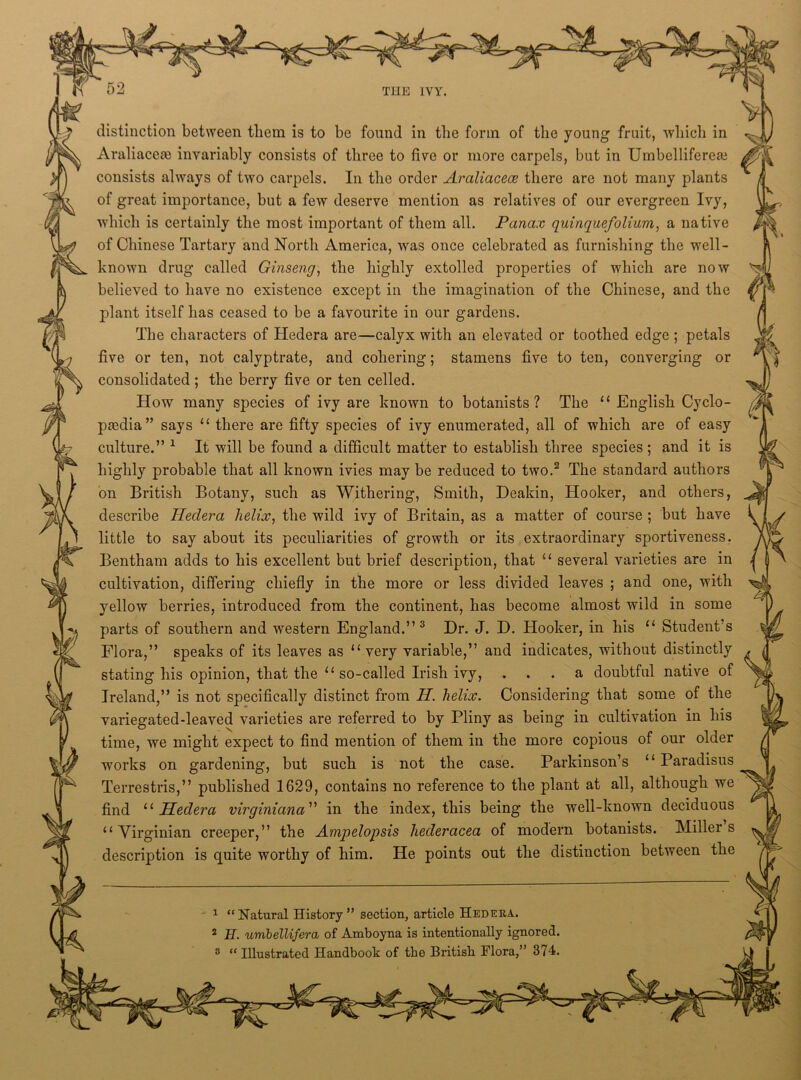 #2* 52 THE IVY. distinction between them is to be found in tbe form of the young fruit, which in Araliacese invariably consists of three to five or more carpels, but in Umbellifereai consists always of two carpels. In the order Araliacece there are not many plants of great importance, but a few deserve mention as relatives of our evergreen Ivy, which is certainly the most important of them all. Panax quinquefolium, a native of Chinese Tartary and North America, was once celebrated as furnishing the well- known drug called Ginseng, the highly extolled properties of which are now believed to have no existence except in the imagination of the Chinese, and the plant itself has ceased to be a favourite in our gardens. The characters of Hedera are—calyx with an elevated or toothed edge ; petals five or ten, not calyptrate, and cohering; stamens five to ten, converging or consolidated; the berry five or ten celled. How many species of ivy are known to botanists ? The “ English Cyclo- pedia” says “ there are fifty species of ivy enumerated, all of which are of easy culture.” 1 It will be found a difficult matter to establish three species ; and it is highly probable that all known ivies may be reduced to two.2 The standard authors on British Botany, such as Withering, Smith, Deakin, Hooker, and others, describe Hedera helix, the wild ivy of Britain, as a matter of course ; but have little to say about its peculiarities of growth or its extraordinary sportiveness. Bentham adds to his excellent but brief description, that “ several varieties are in cultivation, differing chiefly in the more or less divided leaves ; and one, with yellow berries, introduced from the continent, has become almost wild in some parts of southern and western England.” 3 Hr. J. H. Hooker, in his “ Student's Flora,” speaks of its leaves as “very variable,” and indicates, without distinctly stating his opinion, that the “so-called Irish ivy, ... a doubtful native of Ireland,” is not specifically distinct from H. helix. Considering that some of the variegated-leaved varieties are referred to by Pliny as being in cultivation in his time, we might expect to find mention of them in the more copious of our older works on gardening, but such is not the case. Parkinson’s “ Paradisus Terrestris,” published 1629, contains no reference to the plant at all, although we find 11 Hedera virginiana ” in the index, this being the well-known deciduous “Virginian creeper,” the Ampelopsis liederacea of modern botanists. Millers description is quite worthy of him. He points out the distinction between the “Natural History” section, article Hedera. E. urribellifera of Amboyna is intentionally ignored, “ Illustrated Handbook of tbe British Flora,” 374,