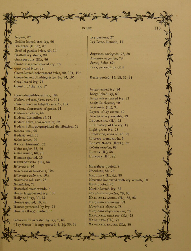 Glymii, 67 Golden-leaved tree ivy, 96 Gracilis (Hort.), 67 Grafted garden ivies, 45, 50 Grafted ivy stems, 22 Grandifolia (H.), 96 Grand margined-leaved ivy, 78 Graveyard ivies, 38 Green-leaved arborescent ivies, 90, 104, 107 Green-leaved climbing ivies, 62, 96, 105 Grey-leaved ivy, 71 Growth of the ivy, 17 Heart-shaped-leaved ivy, 104 Hedera arboreafiava var., 104 Hedera arborea latifolia striata, 105 Hedera, characters of genus, 51 Hedera colchica, 56 Hedera, derivation of, 51 Hedera helix, characters of, 62 Hedera helix, geographical distribution, 53 Hedera var., 96 Hederic acid, 33 Helix incisa, 90 Helix (Linnaeus), 62 Helix major, 63, 69 Helix minor, 62, 70 Hemans quoted, 15 Heterophylla (H.), 63 Hibernica, 96 Hibemica arborescens, 104 Hibemica palmata, 104 Hibemica fol. var., 98 Himalaica, 71 Historical memoranda, 5 Hoary large-leaved ivy, 100 Holly and ivy, 11, 32 Horace quoted, 10, 29 Houses protected by ivy, 25 Howitt (Mary) quoted, 36 Intoxication arrested by ivy, 7, 33 “ Ivy Green ” (song) quoted, 4, 14, 30, 39 Ivy gardens, 27 Ivy Lane, London, 11 Ja/ponica variegata, 78, 80 Japonica argentea, 78 Jersey helix, 69 Jews, persecution of, 8 Keats quoted, 15, 18, 31, 34 Large-leaved ivy, 96 Large-lobed ivy, 67 Large silver-leaved ivy, 93 Latifolia elegans, 79 Latifolia (H.), 91 Layers of ivy stems, 49 Leaves of ivy variable, 19 Leucocarpa (H.), 92 Life history of the ivy, 17 Light green ivy, 98 Limestone, ivies of, 26, 27 Literary memoranda, 5 Lobata major (Hort.), 67 Lobata taurica, 63 Lucida (H.), 58 Luteola (H.), 93 Maccabees quoted, 8 Maculata, 82, 98 Maculata (Hort.), 98 Mtecenas honoured with ivy wreath, 10 Mant quoted, 26 Marble-leaved ivy, 82 Marginata argentea, 78, 93 Marginata aurea (H.), 82, 93 Marginata ccmescens, 83 Marginata elegans, 78 Marginata elegantissima, 78 Marginata grandis (H.),78 Marginata (H.), 77 Marginata lactea (H.), 80