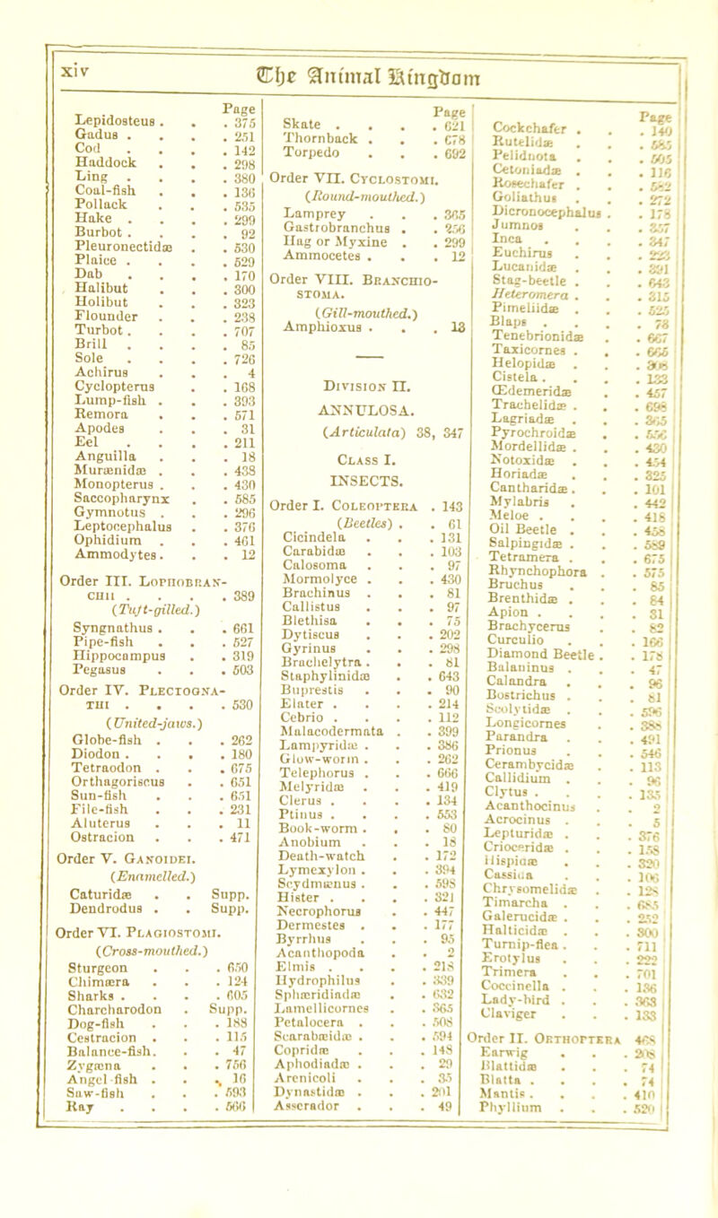 Lepidosteus . GaduB . Cod Haddock Ling . Coal-fish Pollack Hake . Burbot . Pleuronectid® Plaice . Dab Halibut Holibut Flounder Turbot. Brill . Sole Achirus Cyclopterus Lump-fish . Remora Apodes Eel Anguilla Muraenidaj . Monopterus . Saccopharynx Gymnotus . Leptocephalus Ophidium . Ammodytes. Page . 375 . 251 . 142 . 298 . 380 . 130 . 535 . 299 . 92 . 530 . 529 . 170 . 300 . 323 . 238 . 707 . 85 . 726 . 4 . 168 . 393 . 571 . 31 . 211 . 18 . 438 . 430 . 585 . 296 . 376 . 461 . 12 Order III. LopnoBP.AN- cmi . . . .389 (Tujt-gilled.) Syngnathus . . . 661 Pipe-fish . . . 527 Hippocampus . . 319 Pegasus . . . 503 Order IV. Plectoqna- TIII .... (United-jaws.) Globe-fish . . . 262 Diodon .... 180 Tetraodon . . . 675 Orthagoriscus . . 651 Sun-fish . . . 651 File-fish . . . 231 Aluterus . . .11 Ostracion . . .471 Order V. Ganoidei. (Enamelled.) Caturidse . . Supp. DendroduB . . Supp. Order VI. Plaoiostomi. (Cross-mouthed.) Sturgeon Chirmcra Sharks . Charcharodon Dog-fish Cestracion Balance-fish Zygoma Angel fish Saw-fish Ray . 650 . 124 . 605 Supp. . 188 . 115 . 47 . 756 % 36 . 593 . 566 Order VII. Cyclostomi. (Round-mouthed.) Lamprey . 365 Gastrobranchus . . 250 Hag or Myxine . . 299 Ammocetes . . 12 Order VIII. Bran'chio stoma. CGill-mouthed.1 Amphioxus . . 13 Division FT. ANNULOSA. (Articulcita) 38 , 347 Class I. INSECTS. Order I. Coleoptkka . 143 (Beetles) . 61 Cicindela 131 Carabidua 103 Calosoma 97 Mormolyce . 430 Brachinus 81 Callistus 97 Blethisa 10 Dytiscus 202 Gyrinus 298 Brachelytra . 81 Staphylinida3 043 Buprestis 90 Elater . 214 Cebrio . 112 Malacodermata . 399 Lampyridse . 386 Glow-worm . 262 Telephorus . 666 Melyridas 419 Clerus . 134 Ptinus . 553 Book-worm . SO Anobium 13 Death-watch 172 Lymexylon . 394 Scydmamus . 59S Hister . 321 Necrophorus 447 Dermestes . 177 Byrrhus 95 Acanthopoda 2 El mis . 21S Hydrophilus 339 Splucridindm 632 Lamellicornes 865 Petalocera . 50S Scarabajida) . . . 594 Copridtc 148 Aphodiadtc . 29 Arenieoli 35 Dvnastida: . 2fll Asscrador . 49 Cockchafer . Rule lid® . Pelidnota Cetoniad® , Rosechafer . Goliathus Dicronocephalu Jumnos Inca Euchirus Lucanidae Stag-beetle . Heteromera . Pimeliid® . Blaps . Tenebrionid® Taxicornes . Helopid® Cistela. CEdemeridae Traohelid® . Lagriad® Pyrochroid® Mordellid® . Notoxid® Horiad® Cantharid®. Mylabris Meloe . Oil Beetle . Salpingid® . Tetramera . Rhynchophora Bruchus Brenthid® . Apion . Brochycerus Curculio Diamond Beetle Balaninus . Cal an dr a Bostrichus . Scolytid® . Longicornes Parandra Prionus Cerambycid® Callidium Clytus . Acanthocinus Acrocinus . Lepturid® . Criocerid® . iiispia® Cassiua Chrysomelid® Timarcha . Galerucid® . Halticid® . Turnip-flea . Erotylus Trimera Coccinella . Ladv-bird . Claviger Order II. Orthoptkra Earwig . Bl&ttid® Blatta . Mantis . Phy Ilium . 675 . 575 . 85 . 84 . 81 . 82 . 166 . 178 . 47 . 96 . 81 . 596 . 388 . 491 . 546 . 113 . 96 . 135 j • 5 j . 376 . 158 . 320 . 106 . 12S . 685 . 252 . 300 . 711 . 222 . 701 j . 136 I . 368 , • 133 , J 2»l$ , 74 I 74 I 410 520 I